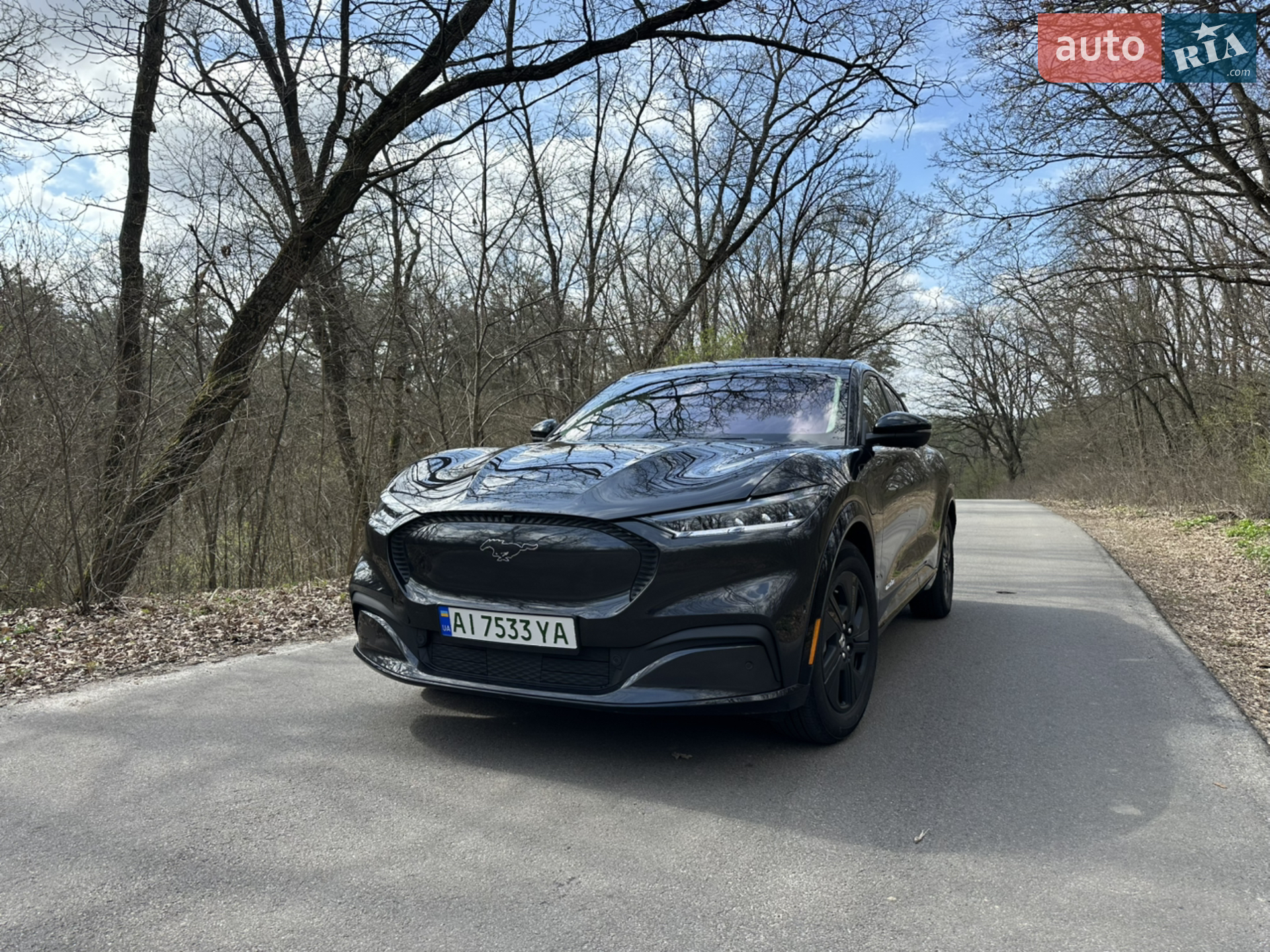 2022 Ford Mustang Mach-E - мініатюра 4