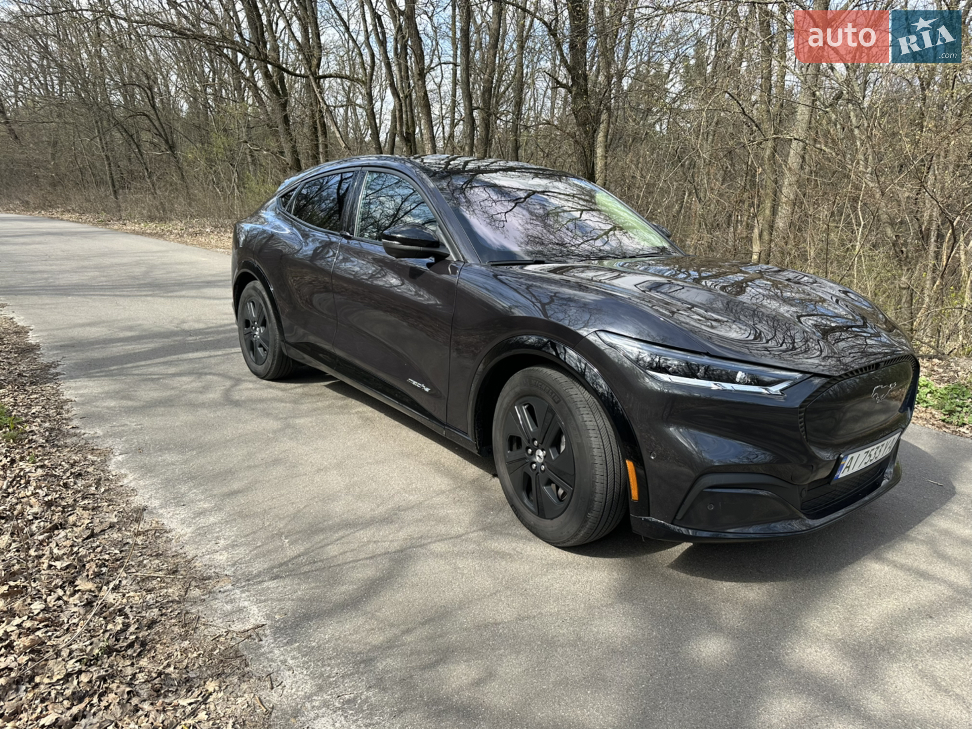 2022 Ford Mustang Mach-E - мініатюра 6