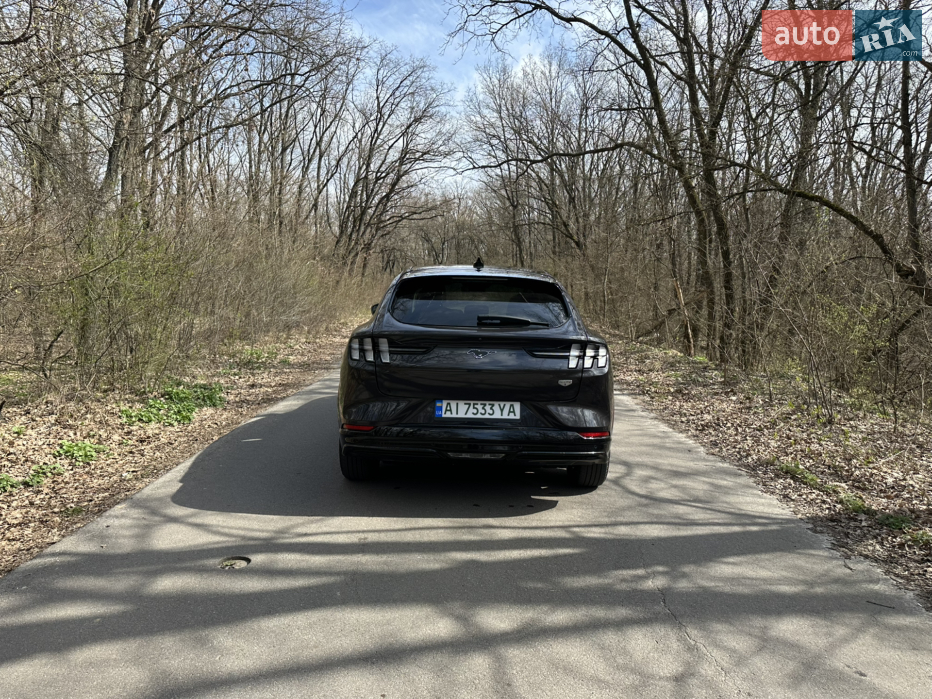 2022 Ford Mustang Mach-E - мініатюра 10