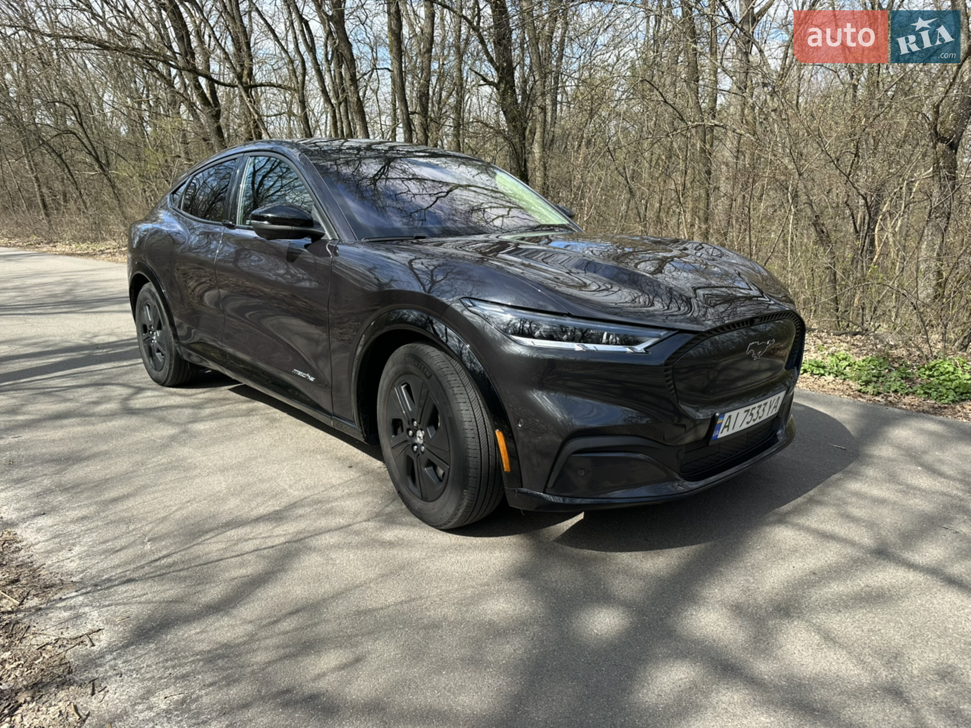 2022 Ford Mustang Mach-E - мініатюра 14