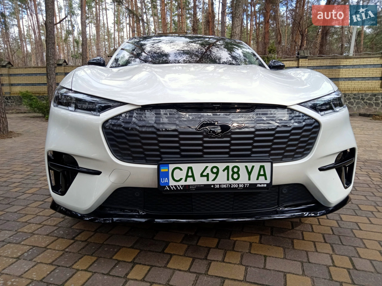 2021 Ford Mustang Mach-E - мініатюра 19