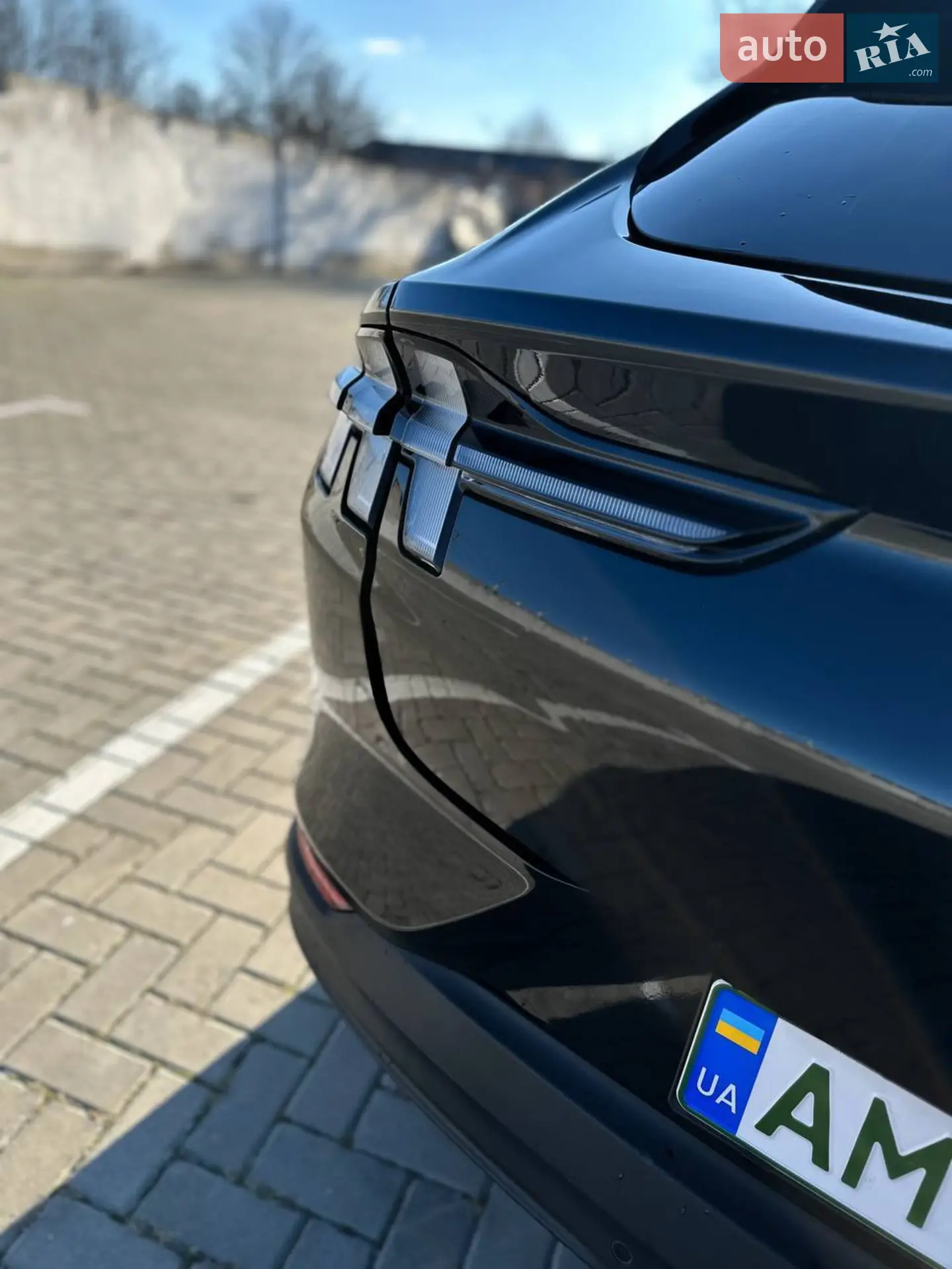 2021 Ford Mustang Mach-E - мініатюра 6
