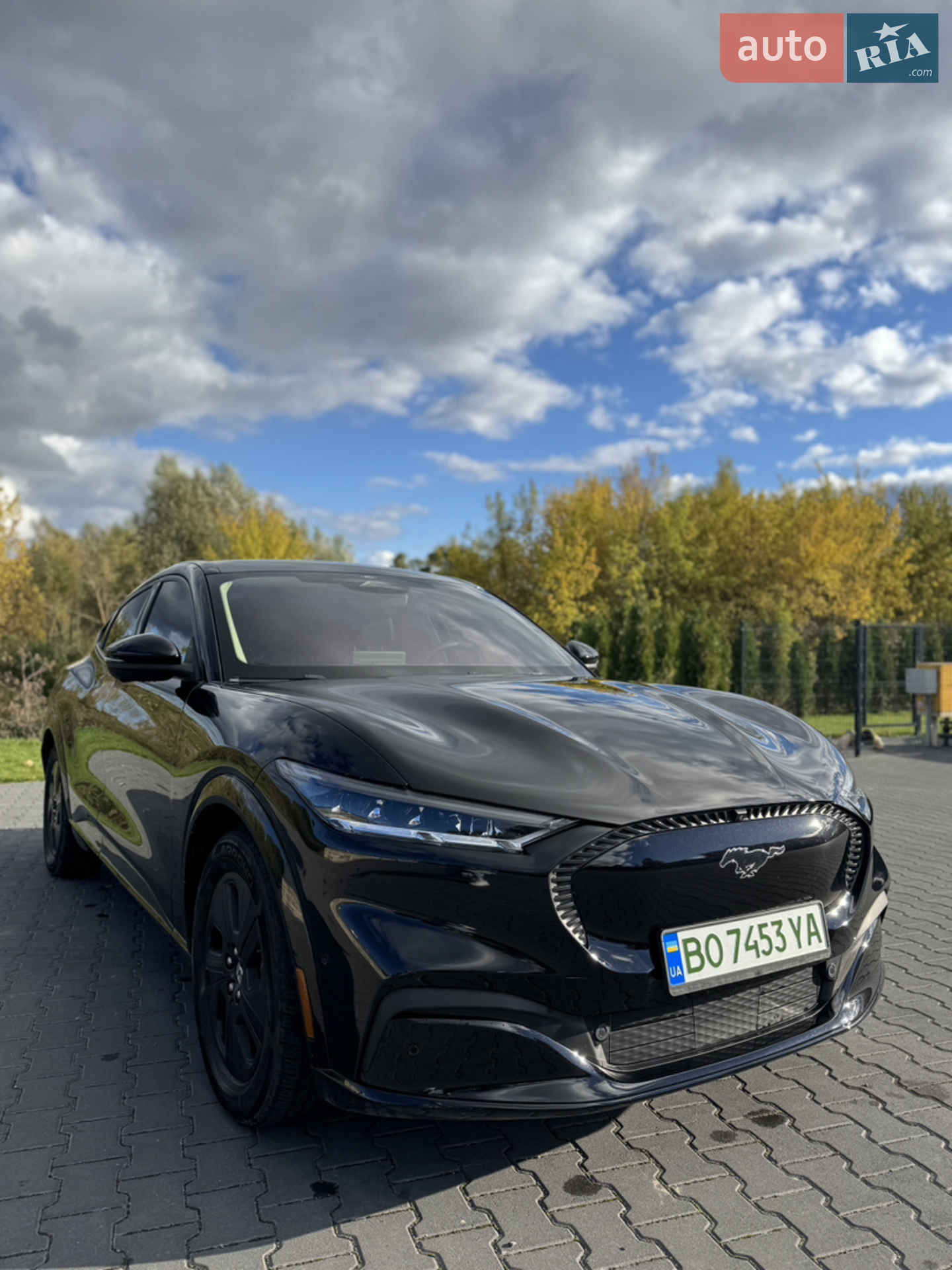 2021 Ford Mustang Mach-E - мініатюра 11