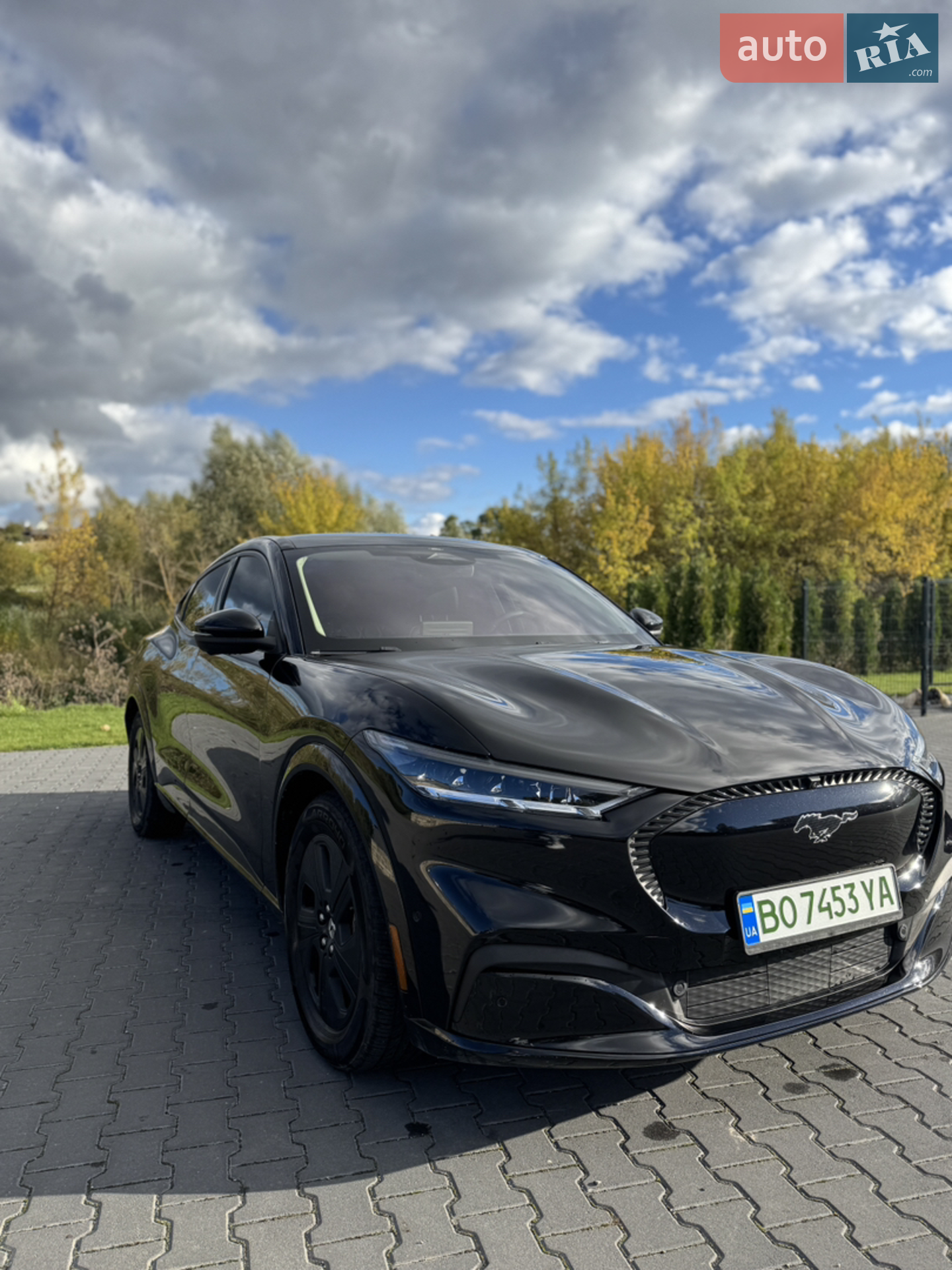 2021 Ford Mustang Mach-E - мініатюра 13
