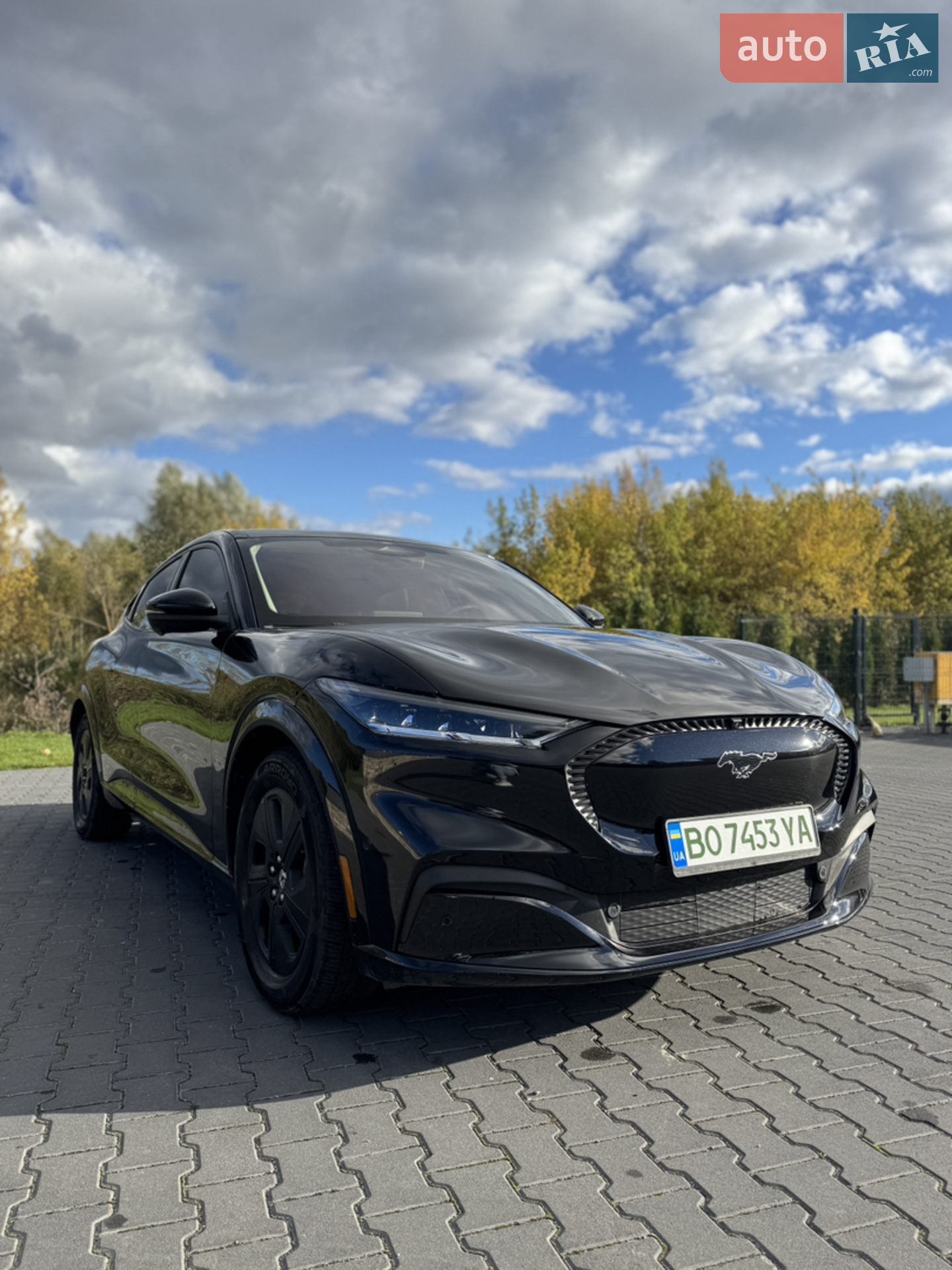 2021 Ford Mustang Mach-E - мініатюра 14