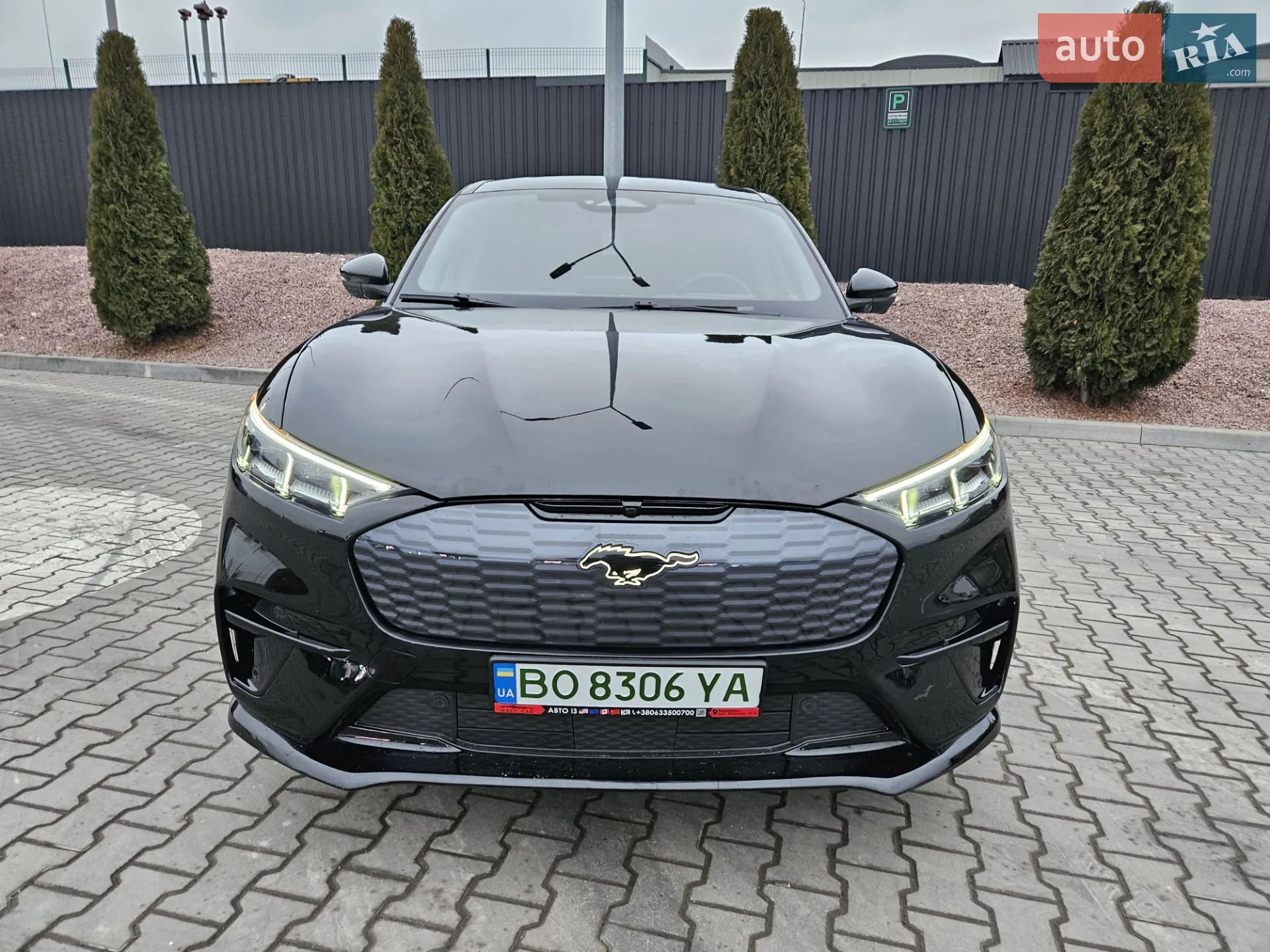 2021 Ford Mustang Mach-E - мініатюра 9
