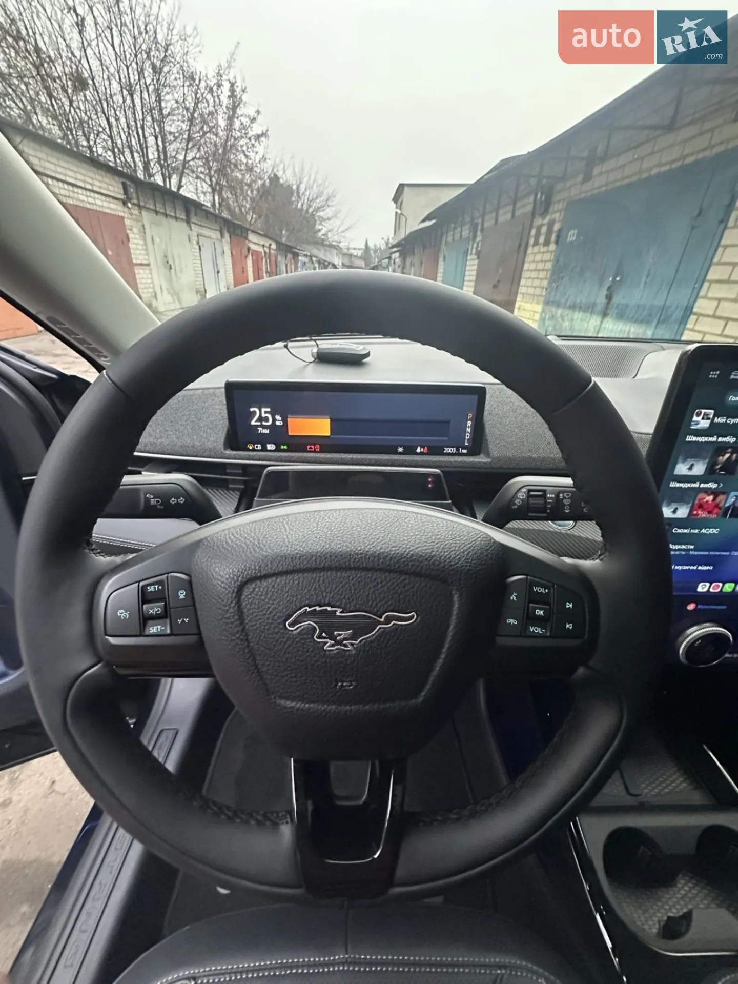 2024 Ford Mustang Mach-E - мініатюра 9