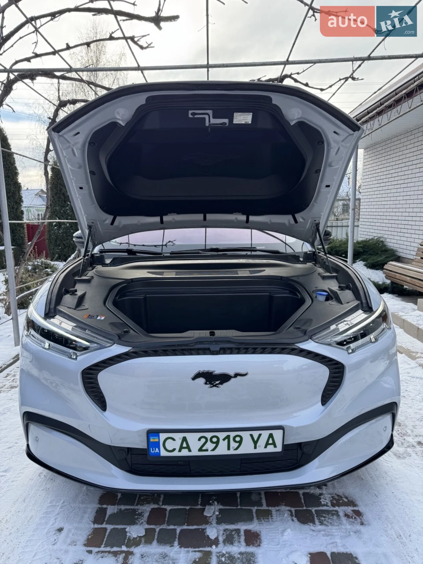 2021 Ford Mustang Mach-E - мініатюра 13