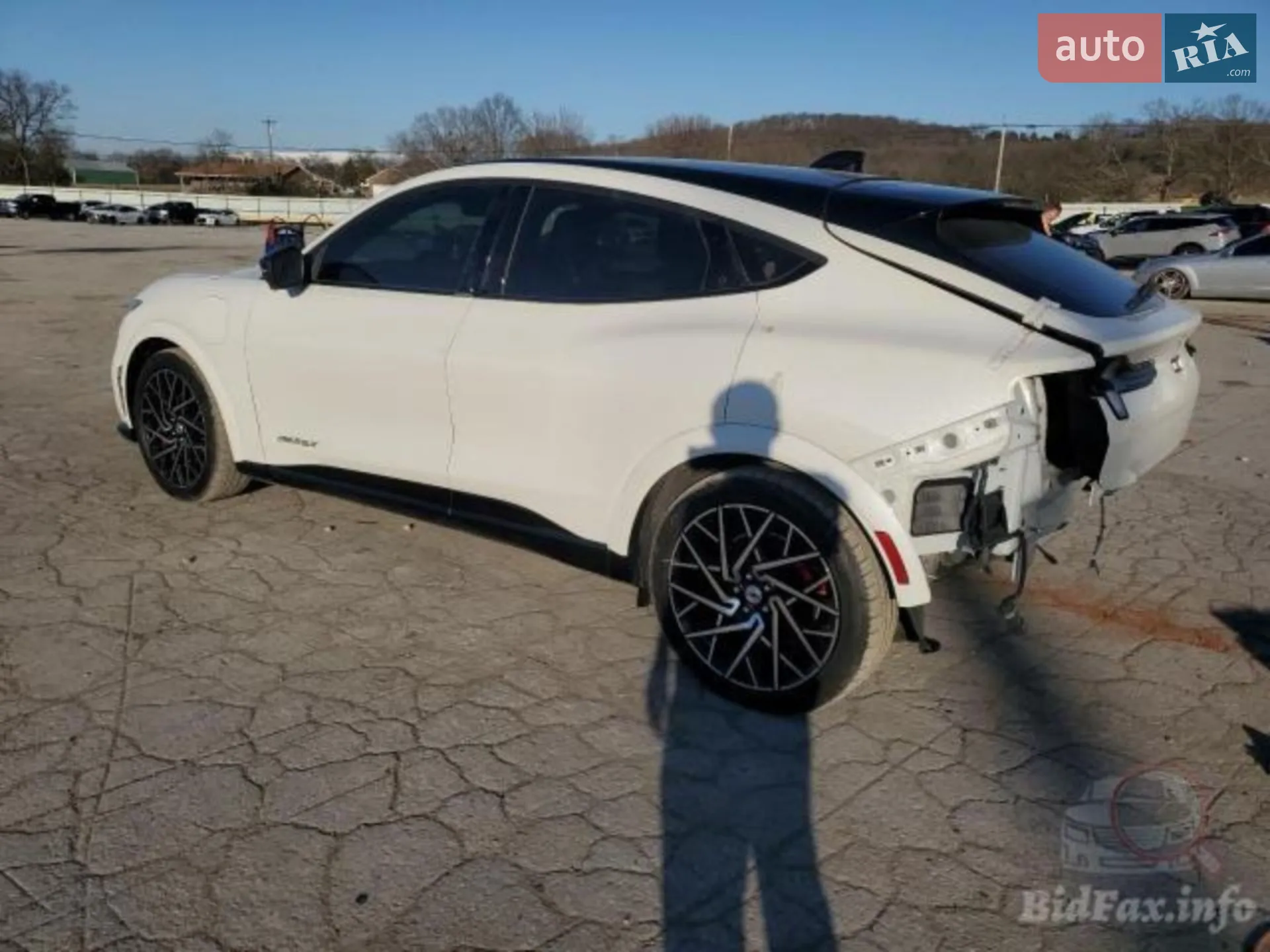 2021 Ford Mustang Mach-E - мініатюра 13