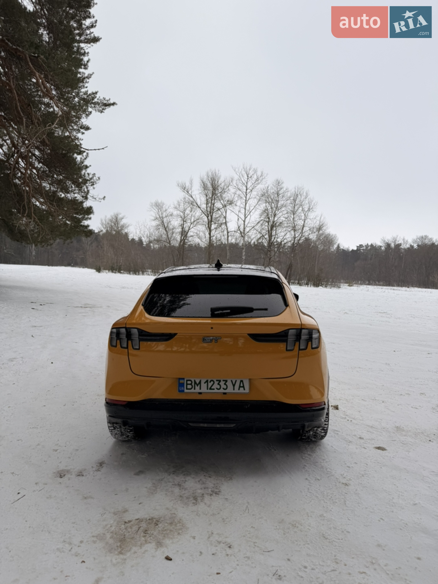 2022 Ford Mustang Mach-E - мініатюра 7