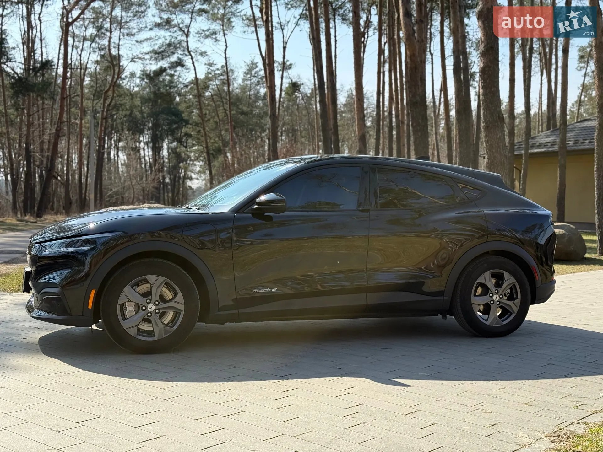 2023 Ford Mustang Mach-E - мініатюра 2