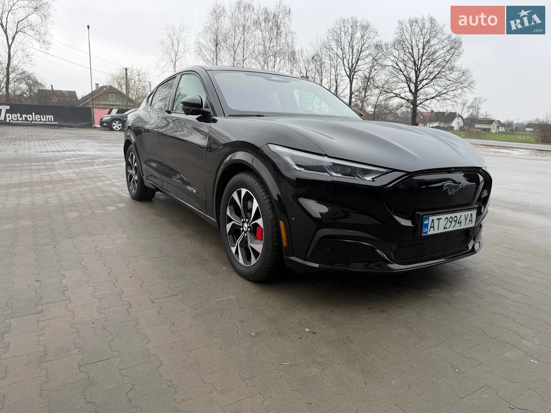 2021 Ford Mustang Mach-E - фото 1