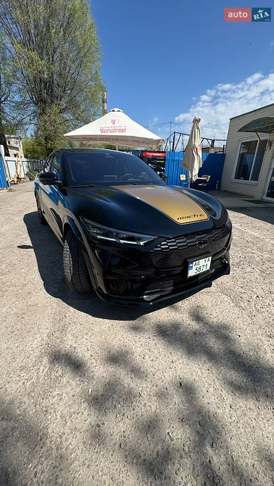 2021 Ford Mustang Mach-E - мініатюра 37
