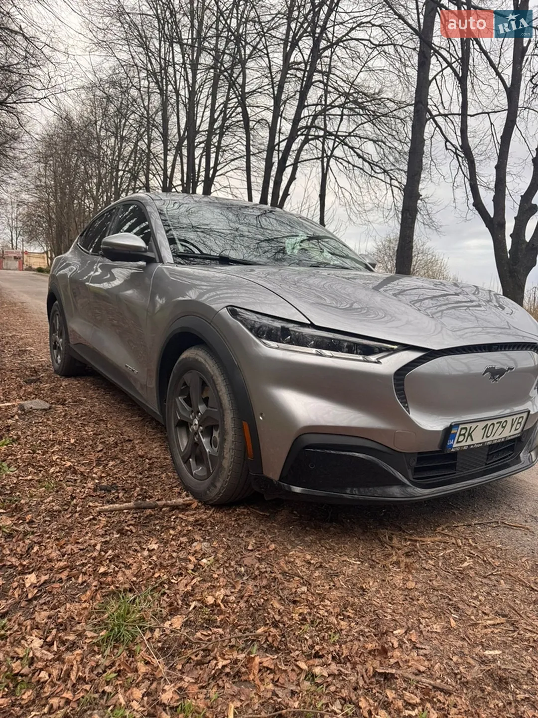 2021 Ford Mustang Mach-E - мініатюра 21