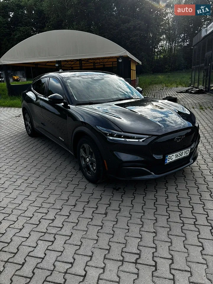 2021 Ford Mustang Mach-E - мініатюра 14