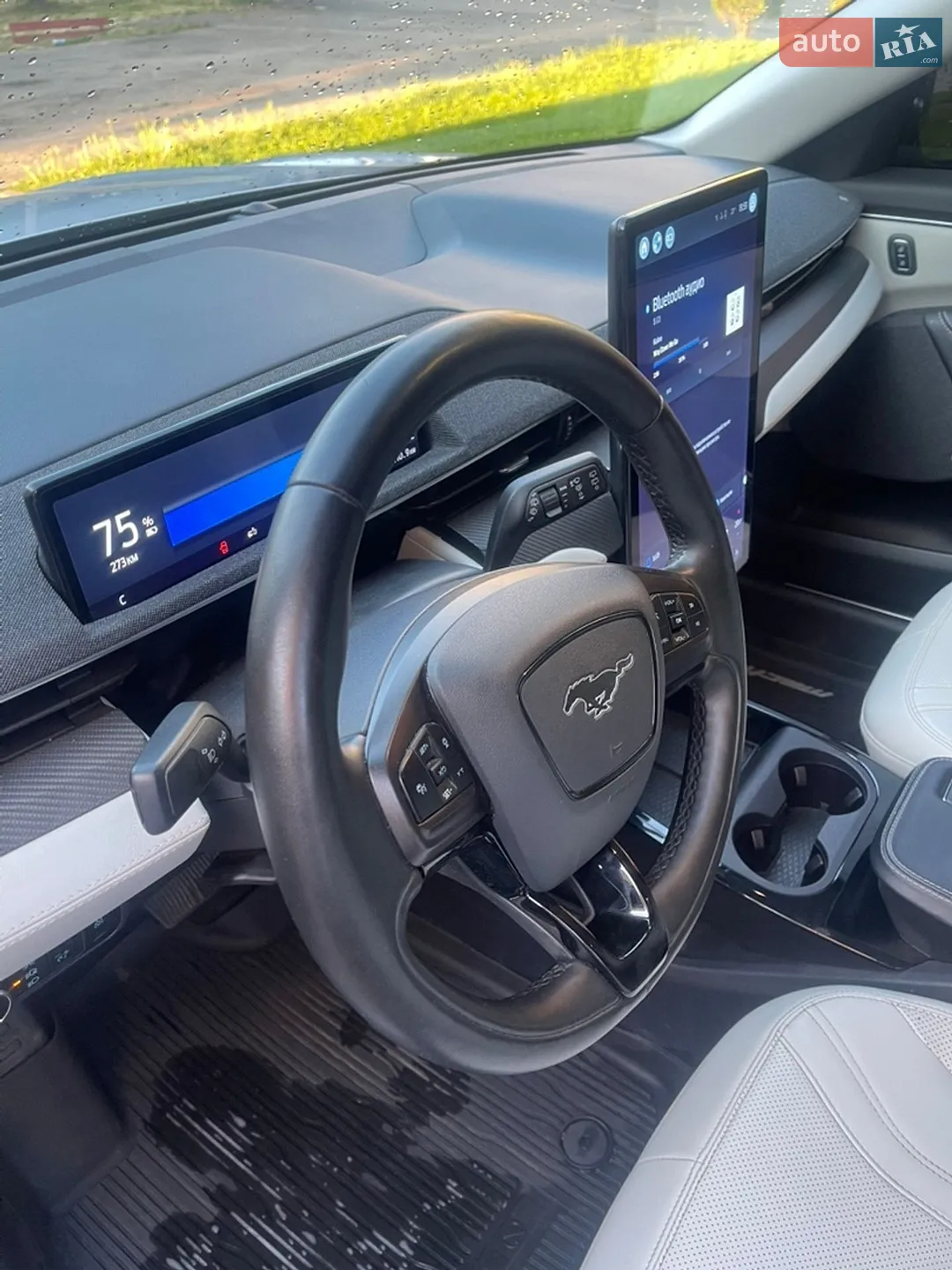 2021 Ford Mustang Mach-E - мініатюра 14