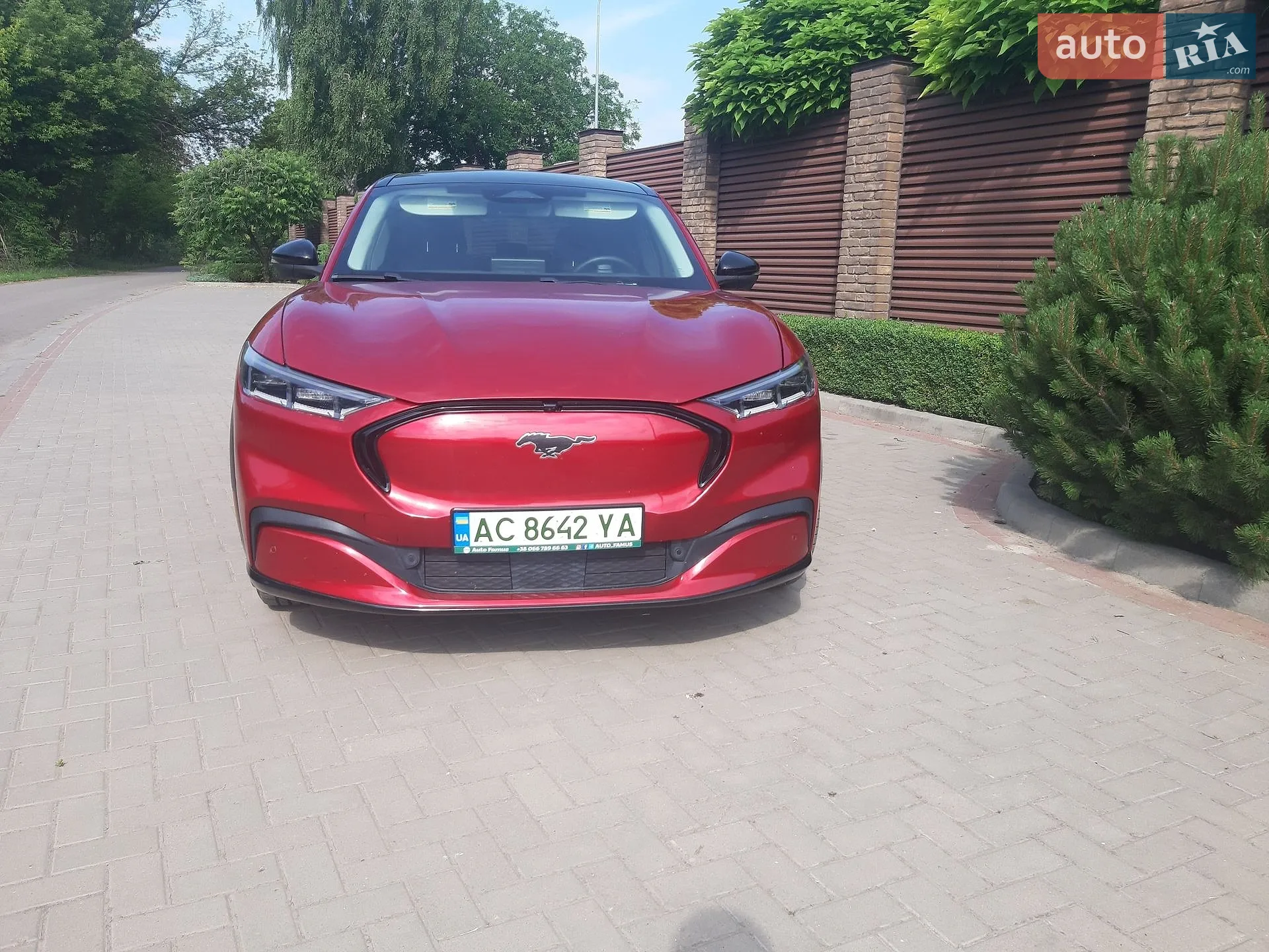 2021 Ford Mustang Mach-E - мініатюра 3