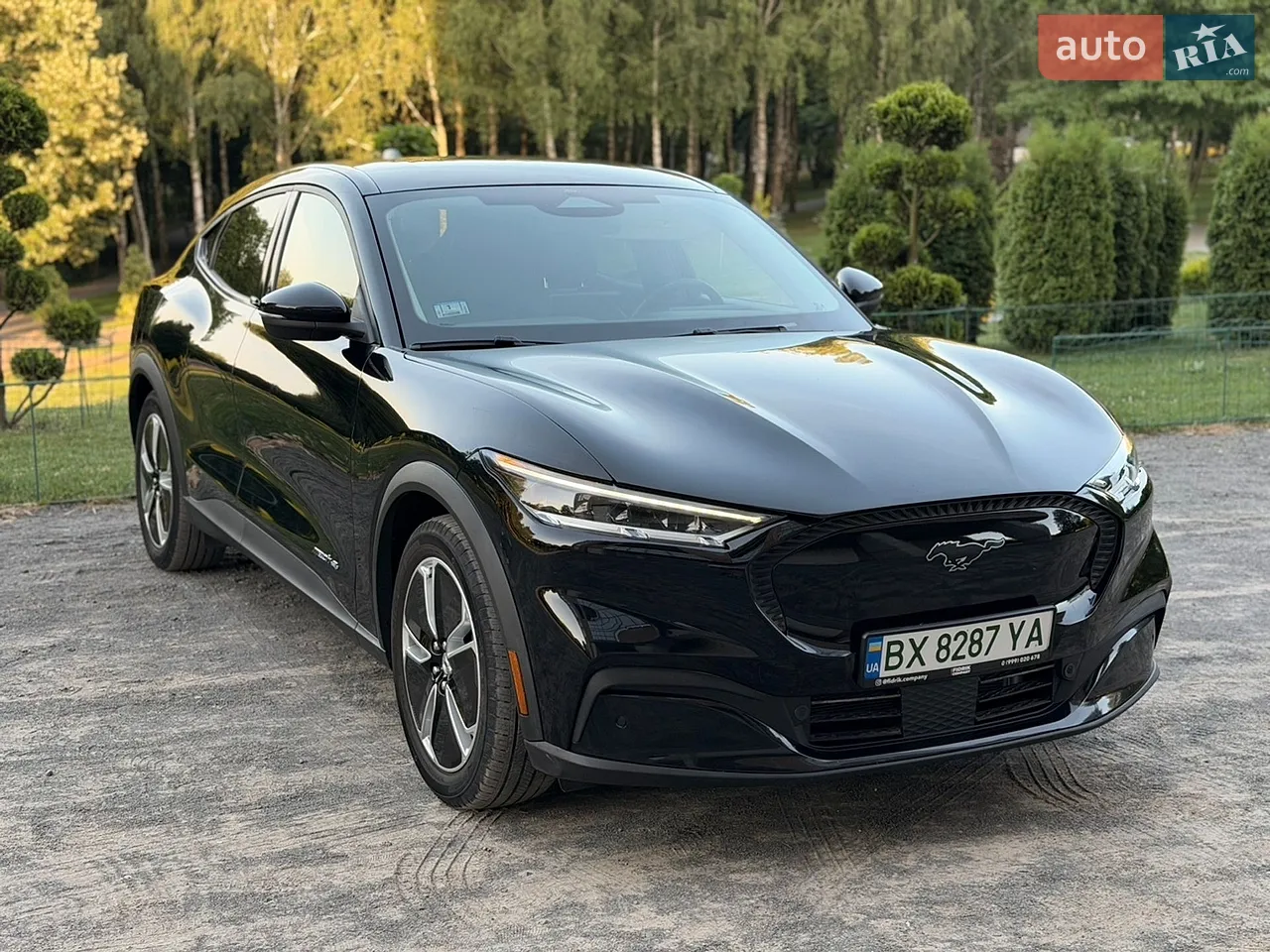 2021 Ford Mustang Mach-E - мініатюра 38