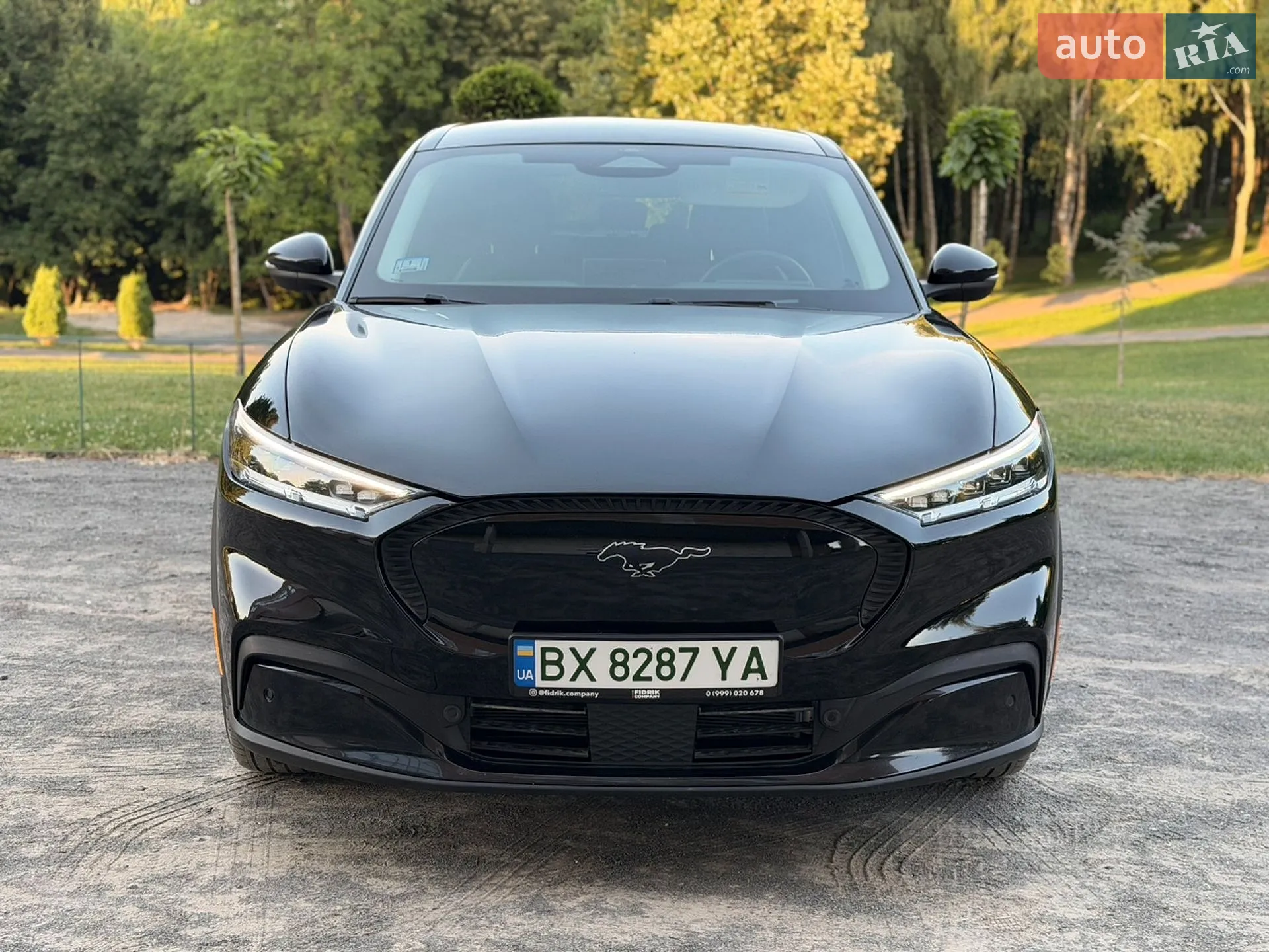 2021 Ford Mustang Mach-E - мініатюра 2