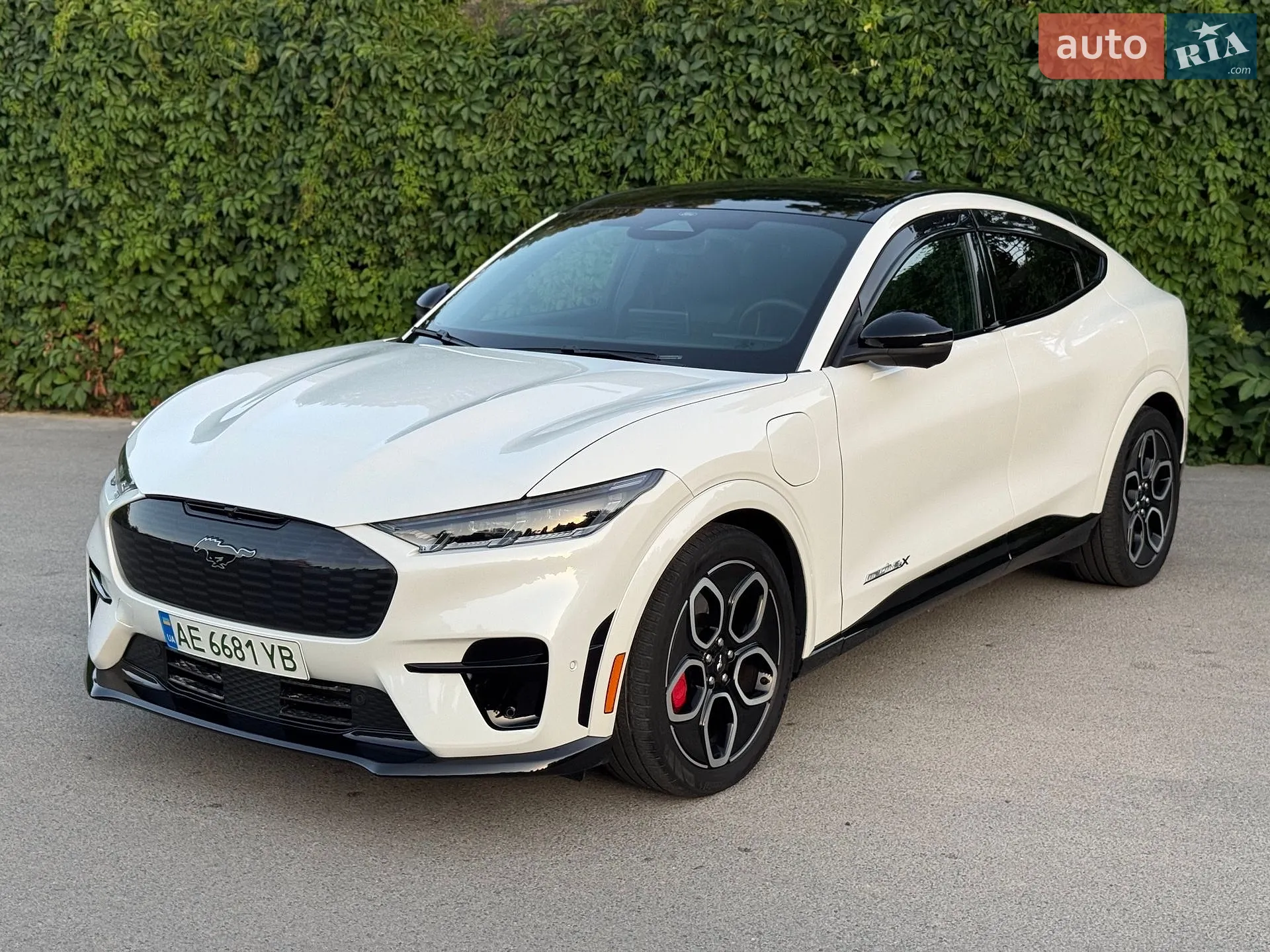 2023 Ford Mustang Mach-E - мініатюра 7