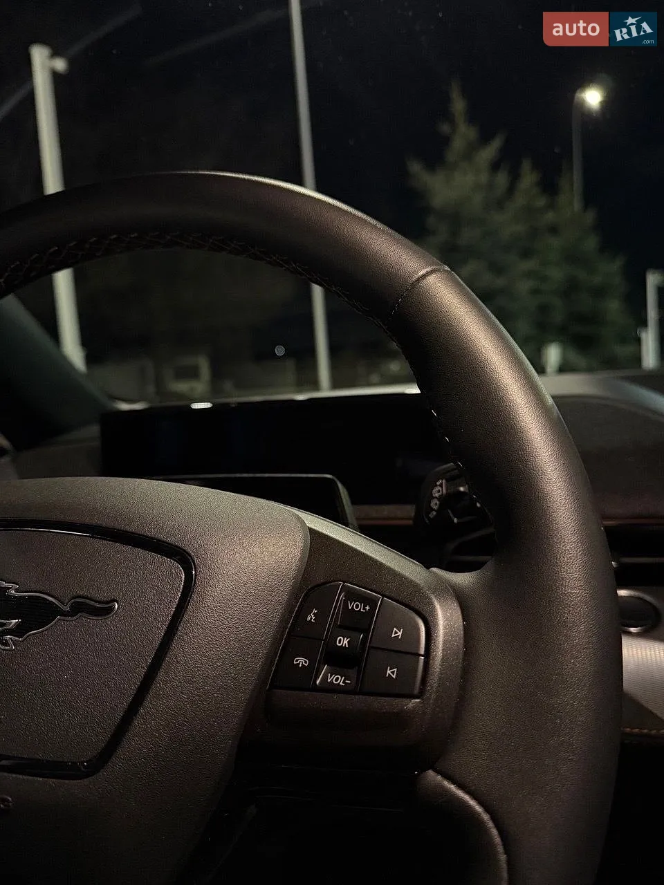2022 Ford Mustang Mach-E - мініатюра 13