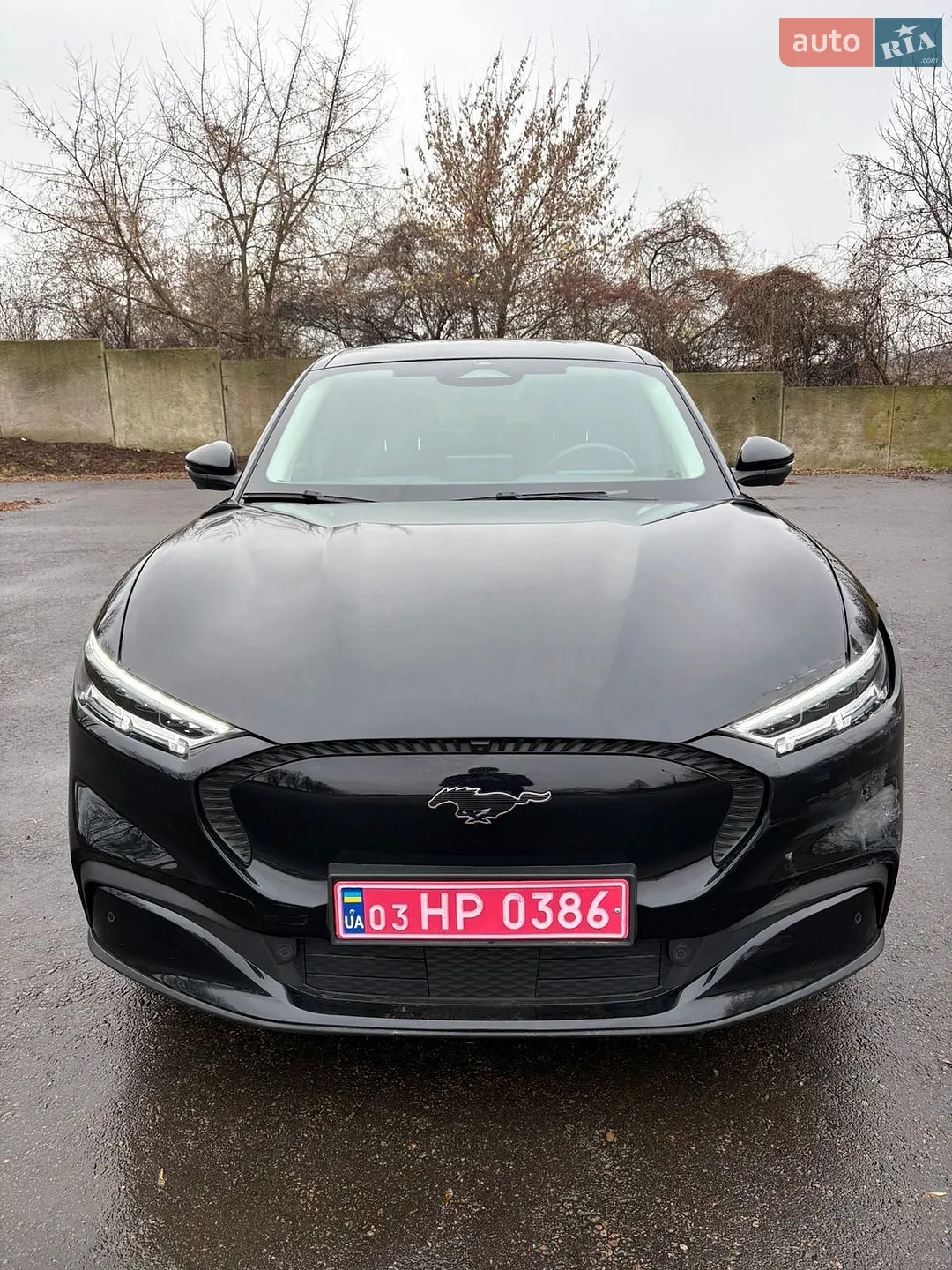 2021 Ford Mustang Mach-E - мініатюра 3
