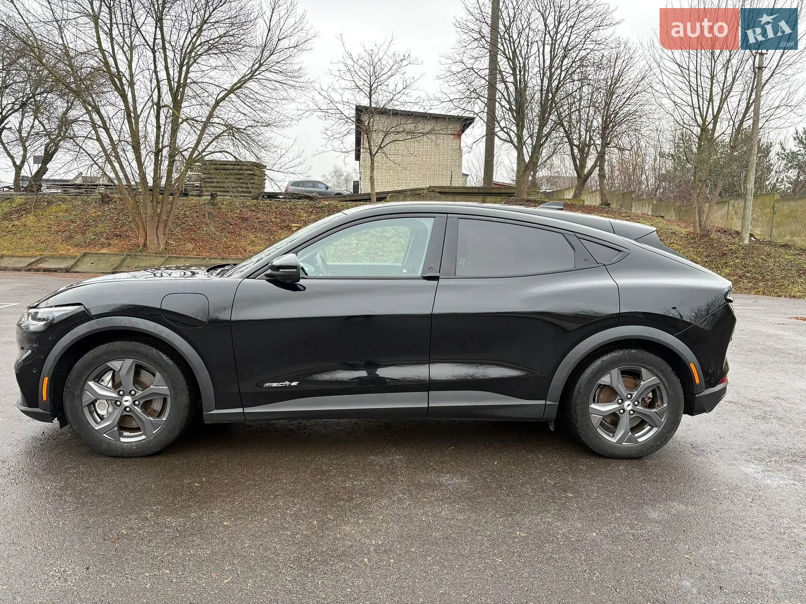 2021 Ford Mustang Mach-E - мініатюра 5