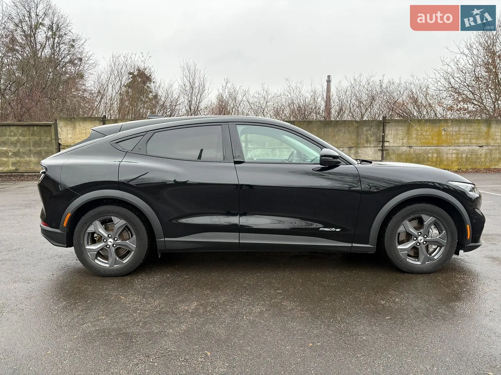 2021 Ford Mustang Mach-E - мініатюра 4