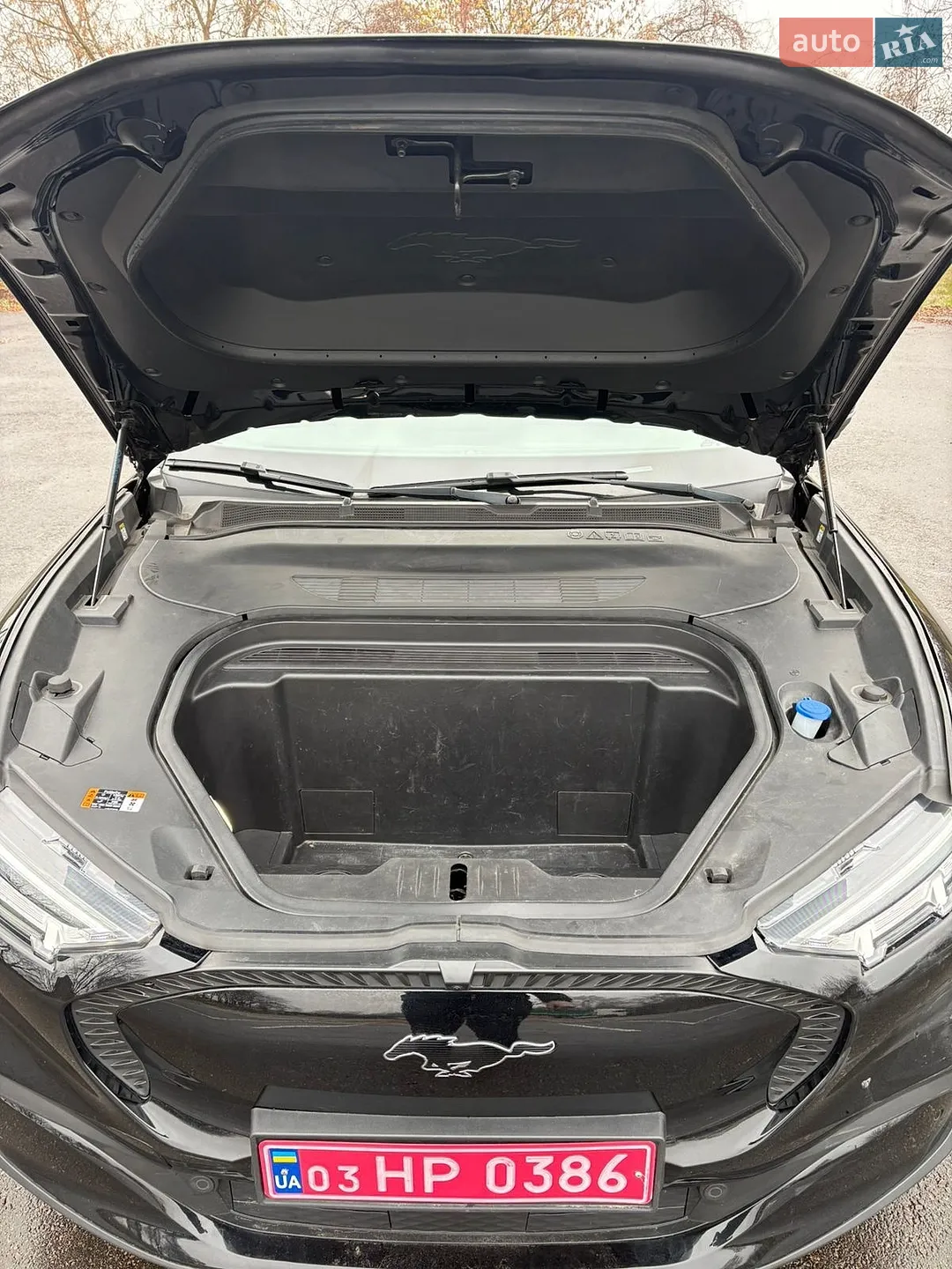 2021 Ford Mustang Mach-E - мініатюра 14