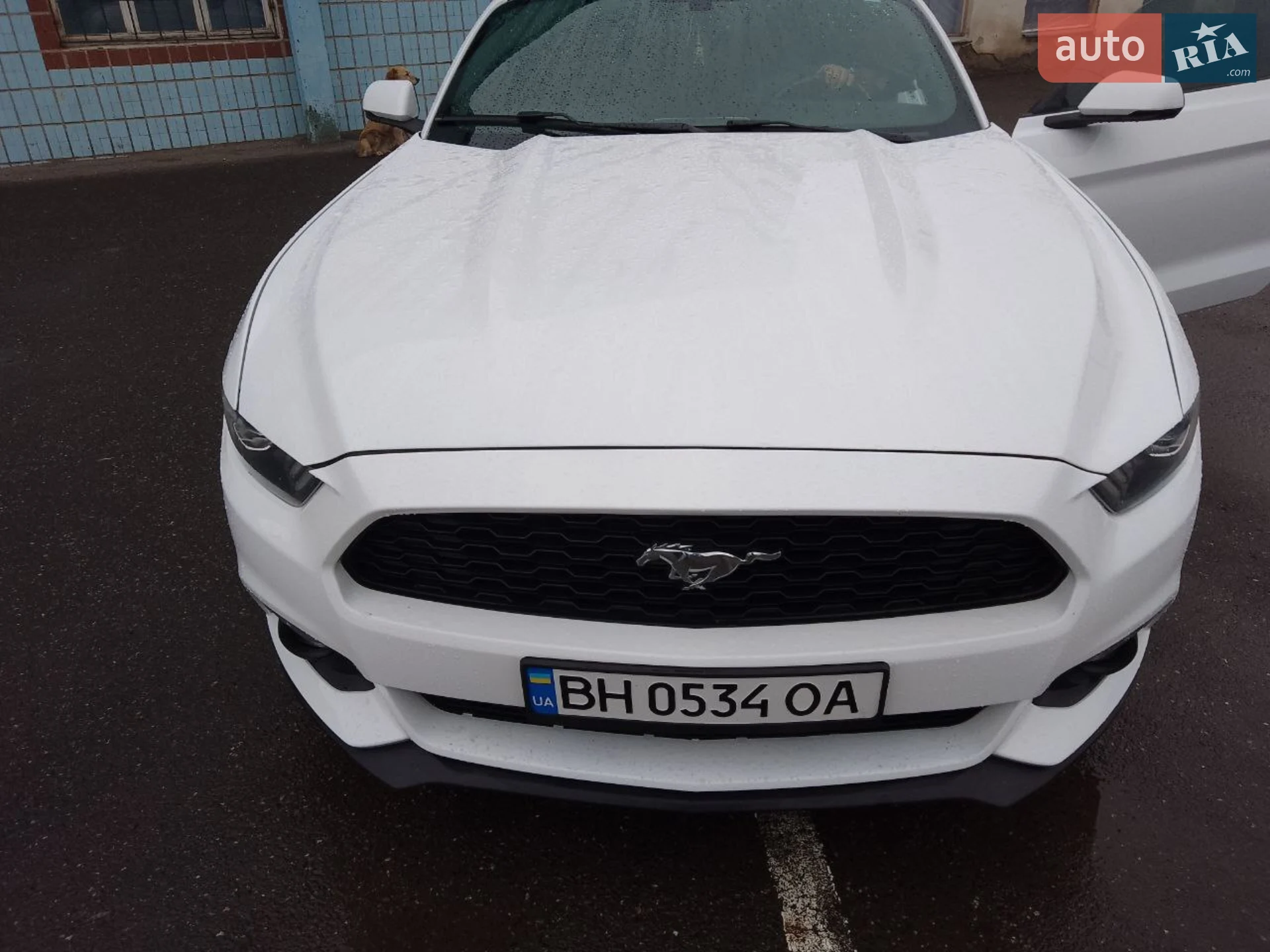2017 Ford Mustang - мініатюра 8
