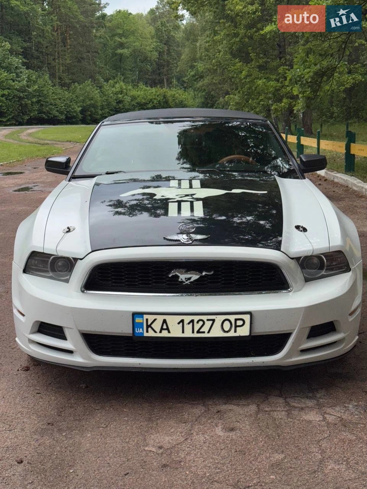 2014 Ford Mustang - мініатюра 33