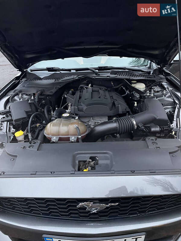 Купе Ford Mustang 2015 в Киеве фото 17 Купе Ford Mustang 2015 в Киеве