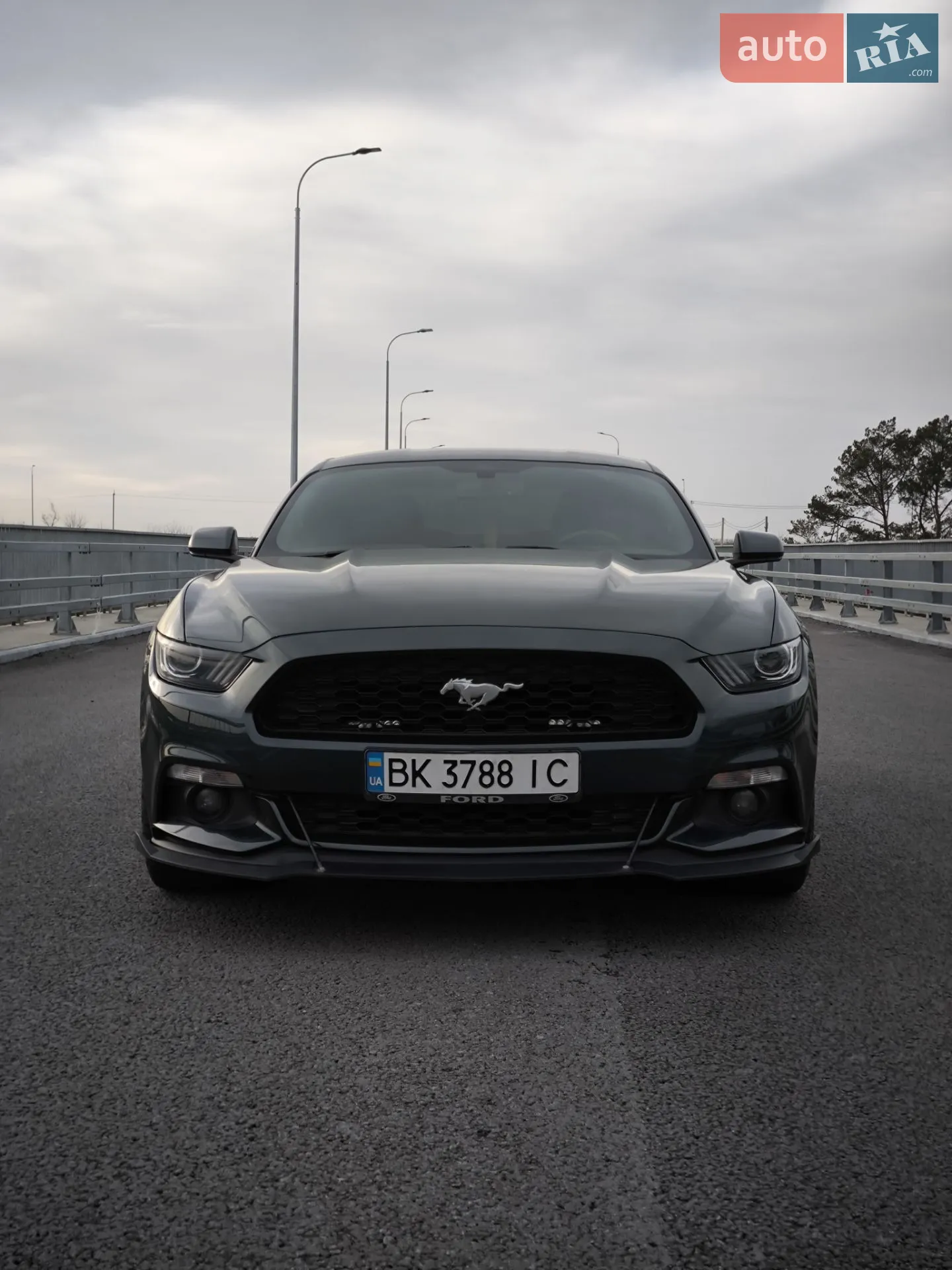 2014 Ford Mustang - мініатюра 4