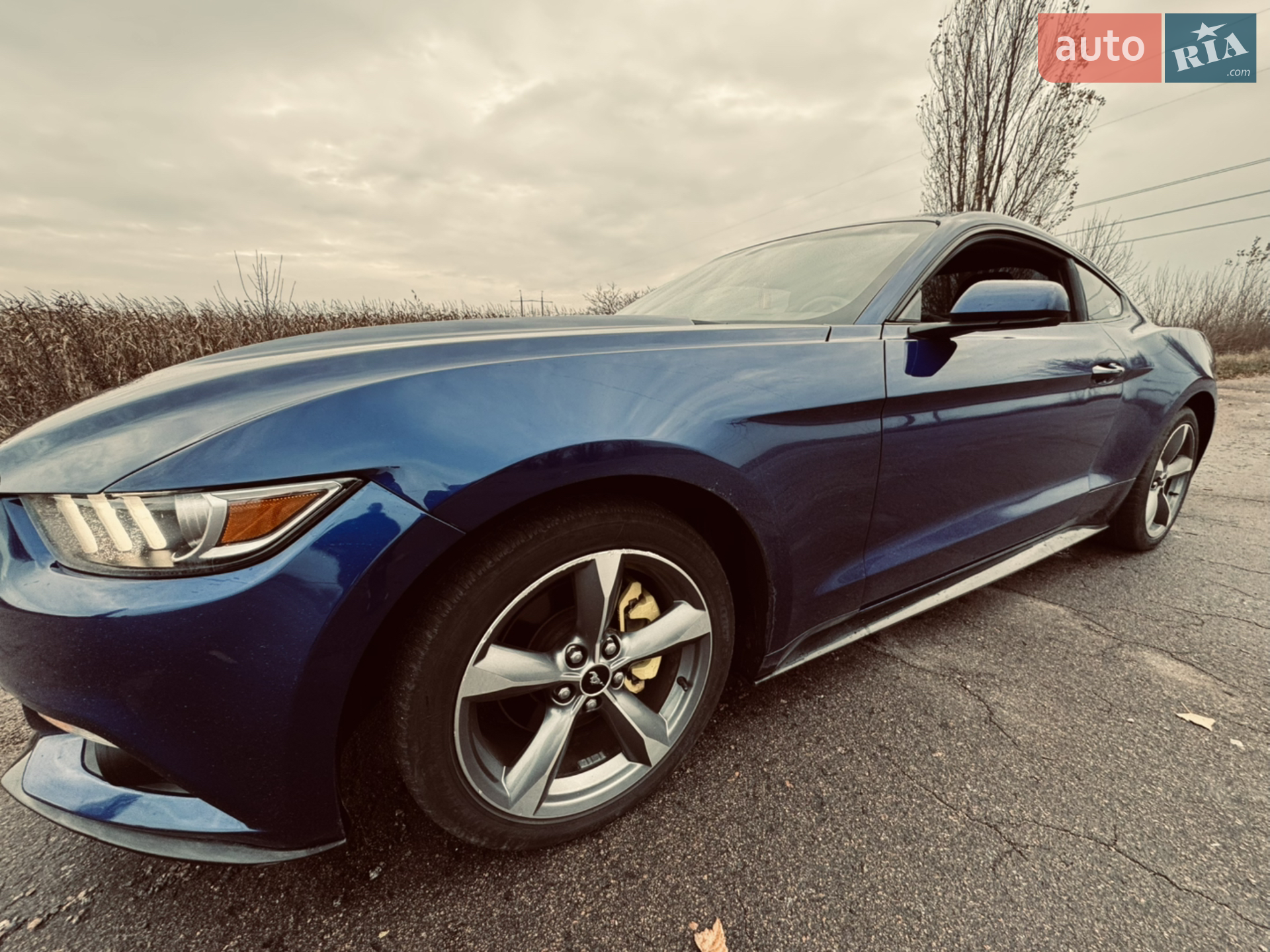 2015 Ford Mustang - фото 1