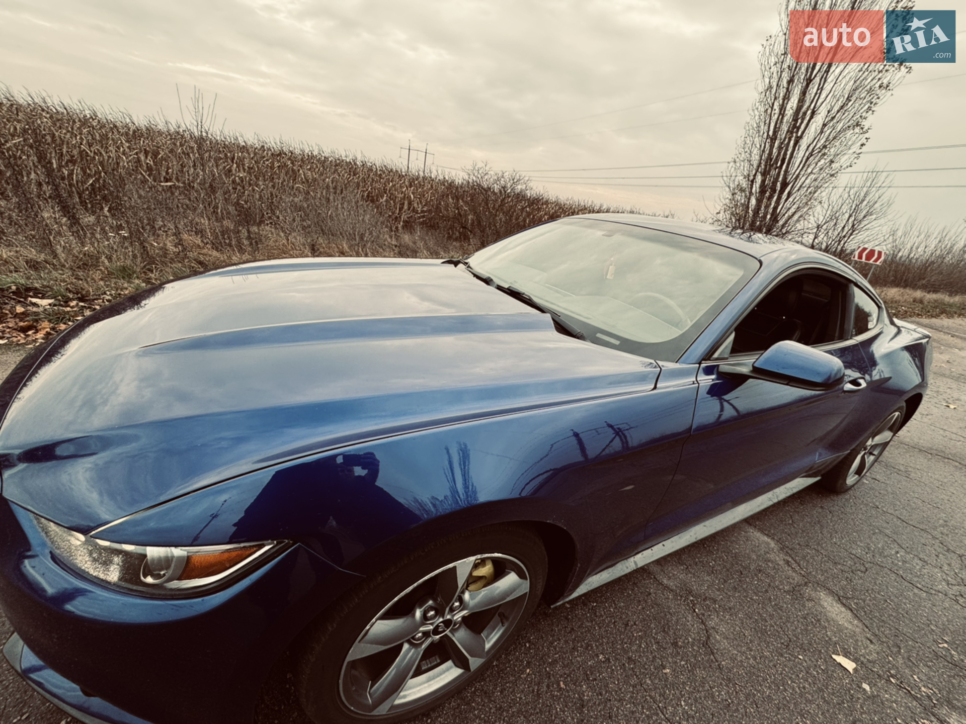 2015 Ford Mustang - мініатюра 3