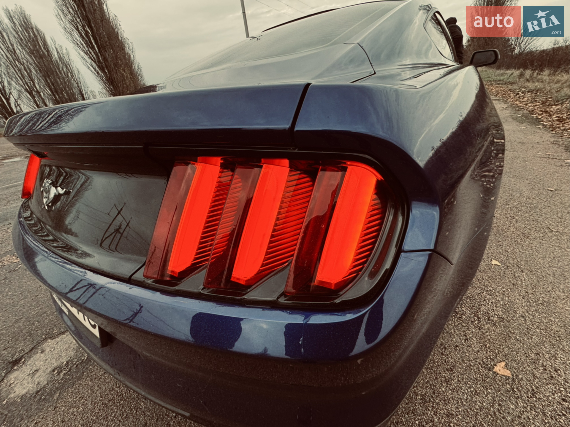 2015 Ford Mustang - мініатюра 12