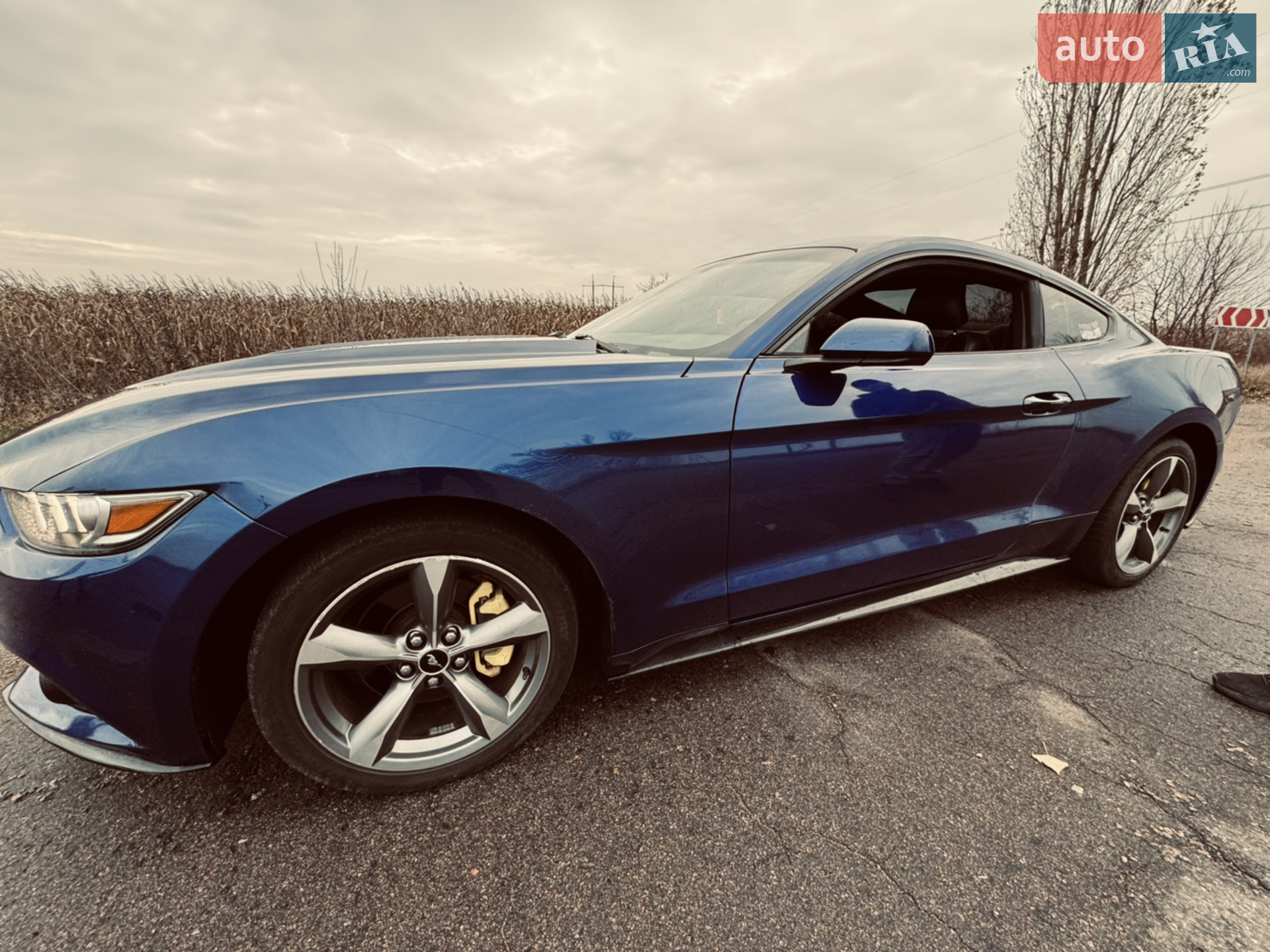 2015 Ford Mustang - мініатюра 4
