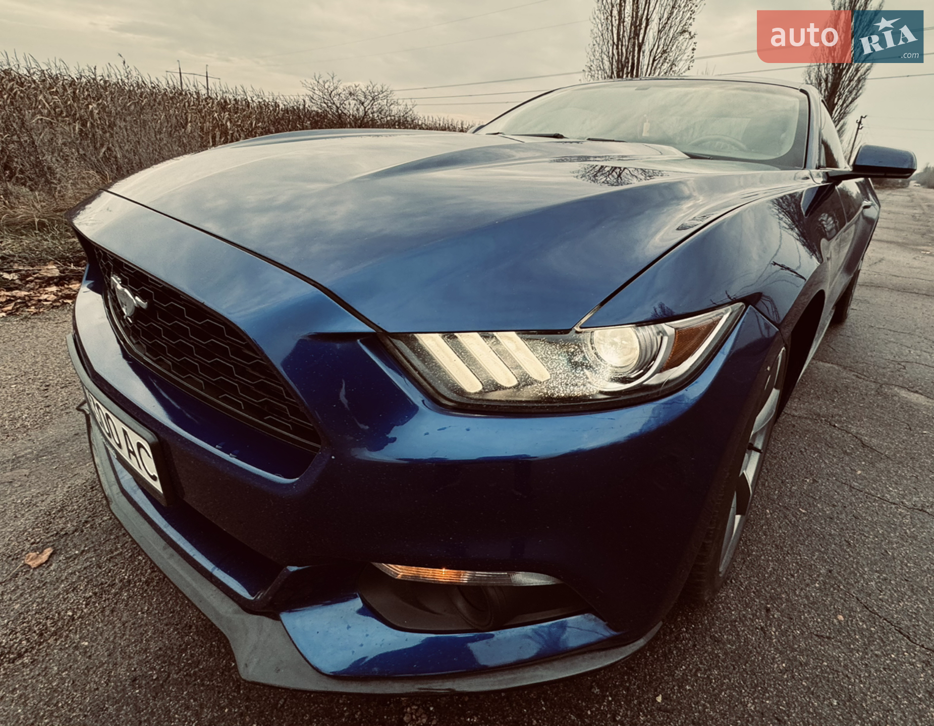 2015 Ford Mustang - мініатюра 16