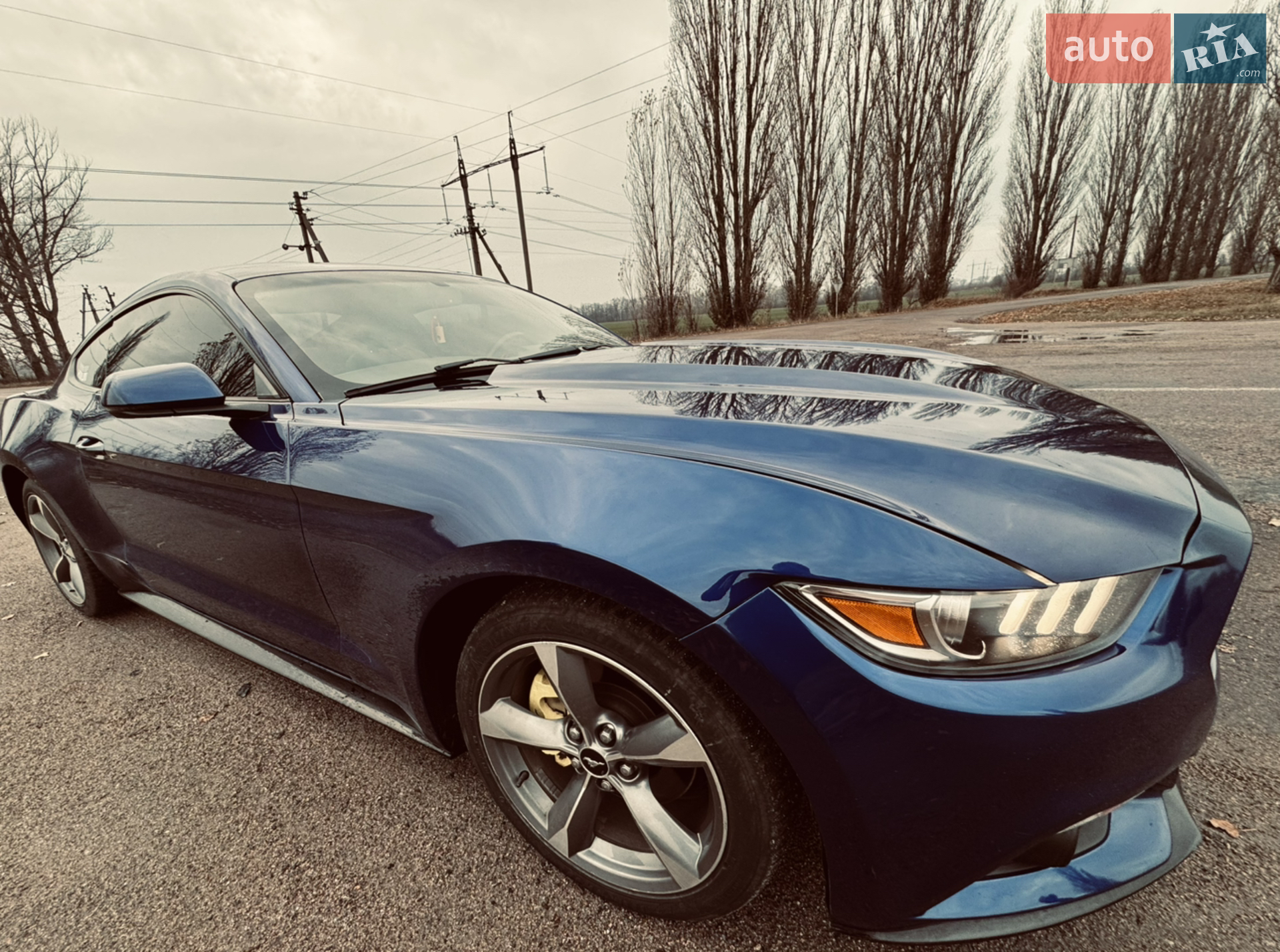 2015 Ford Mustang - мініатюра 7