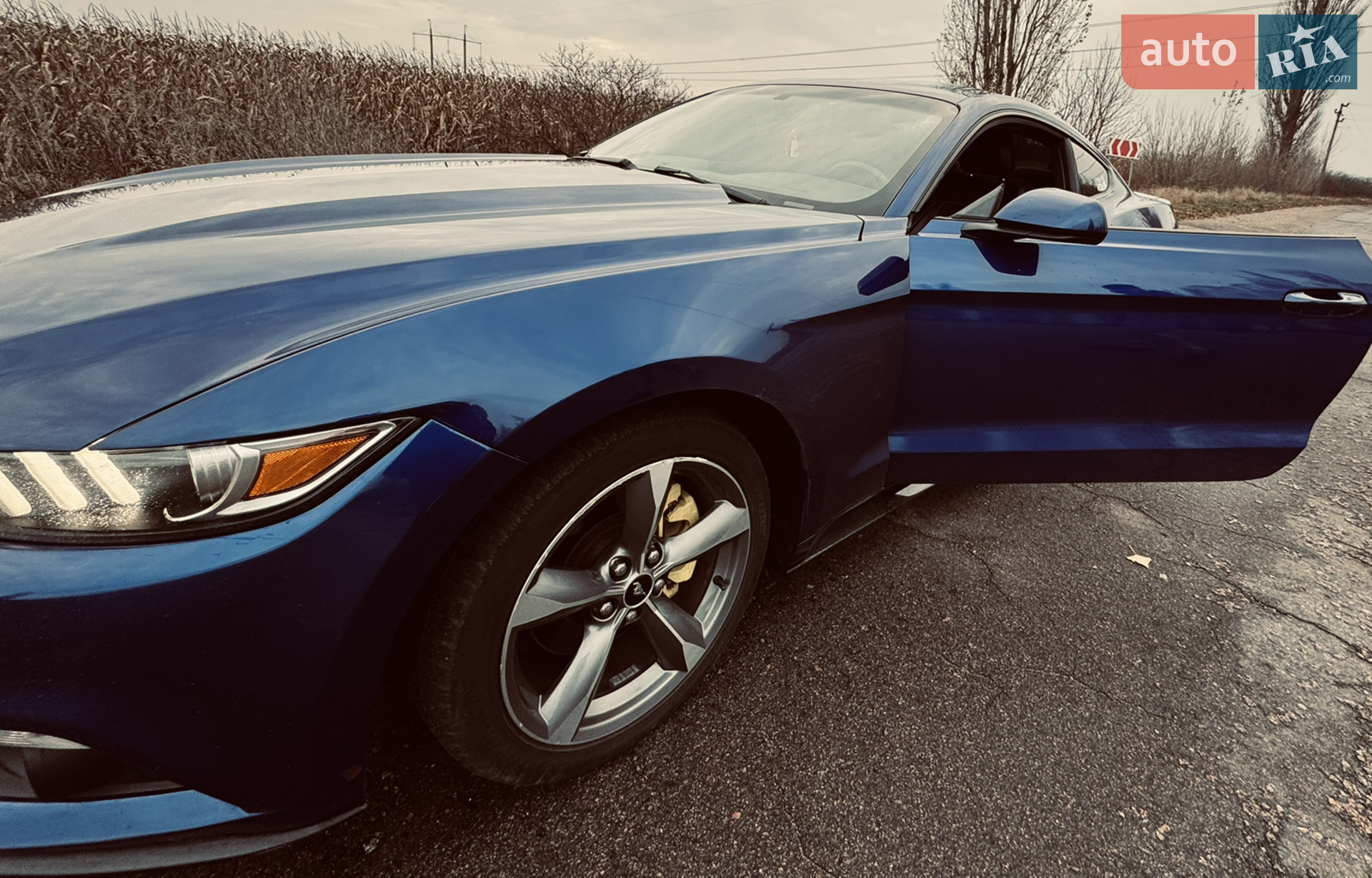 2015 Ford Mustang - мініатюра 10