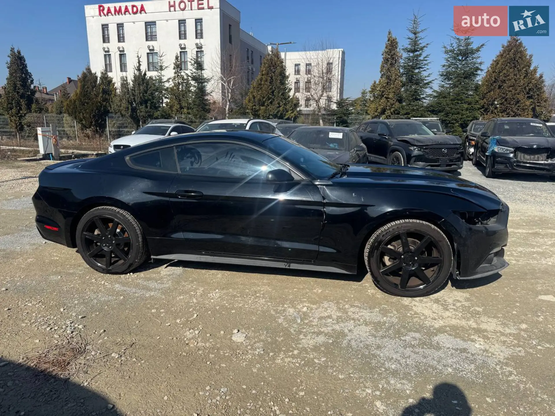 2014 Ford Mustang - мініатюра 4
