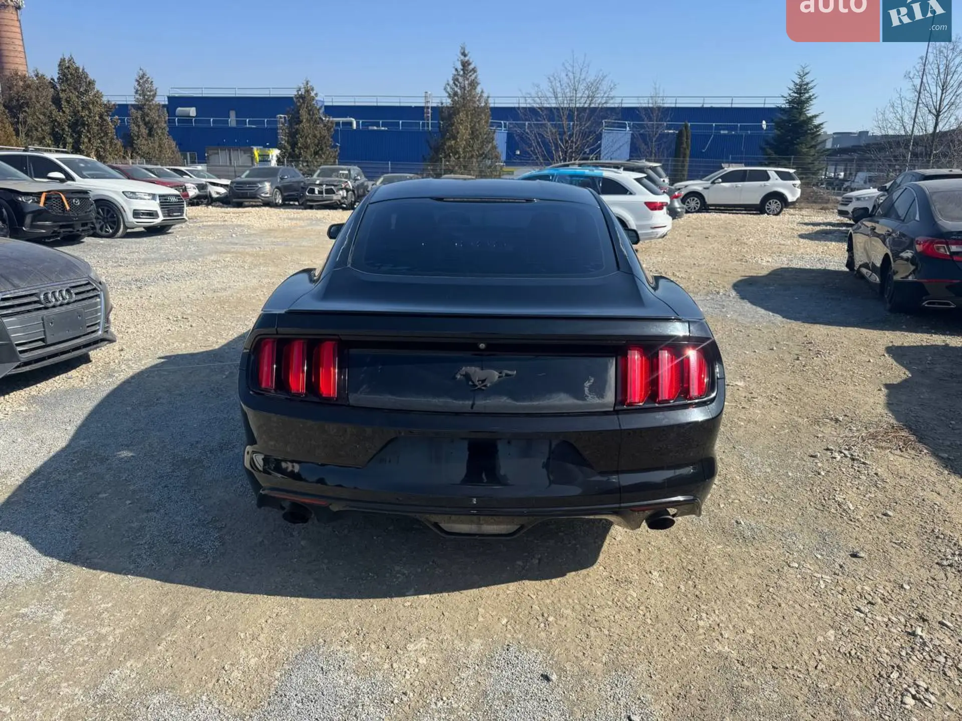 2014 Ford Mustang - мініатюра 6