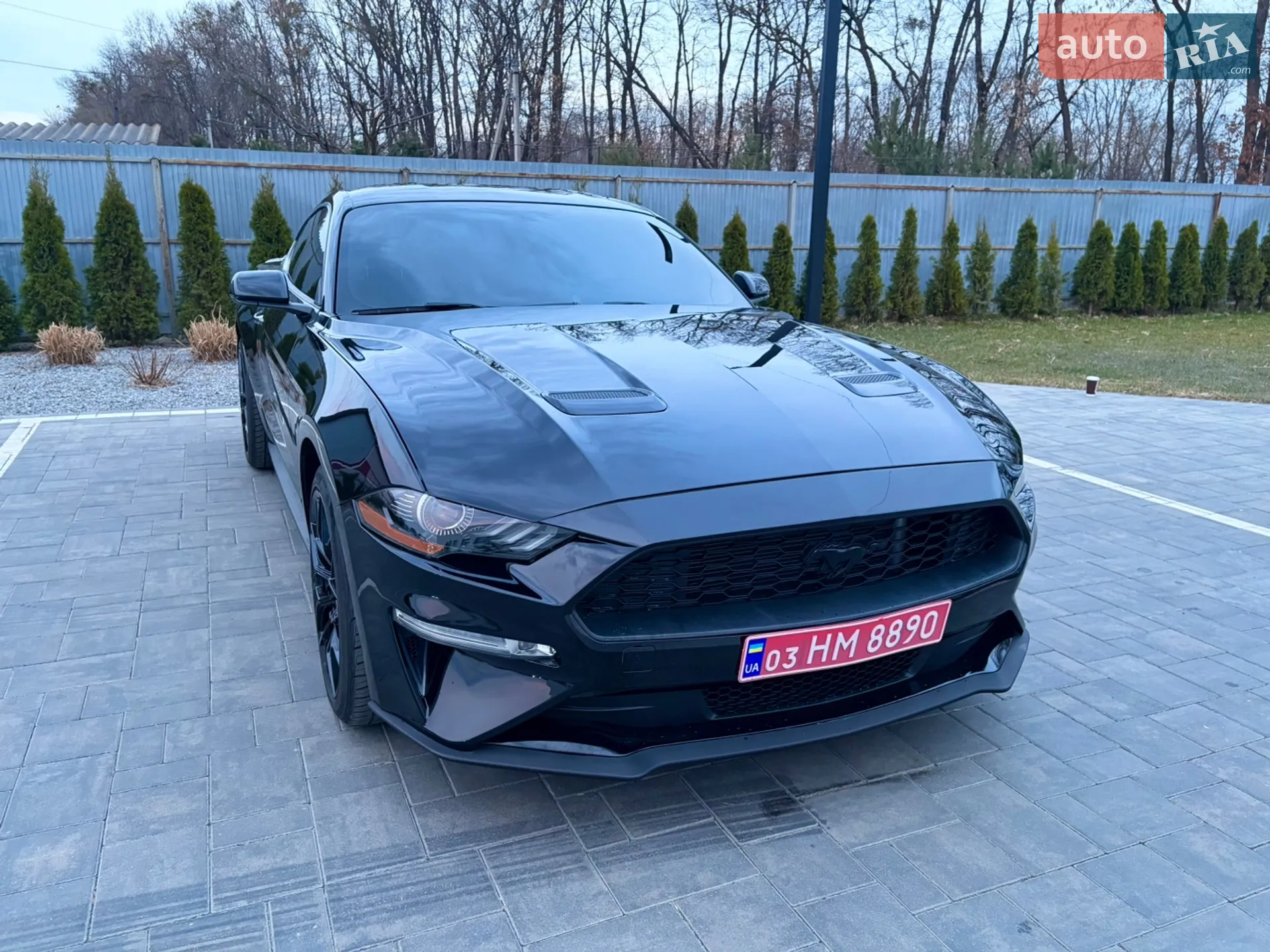 2017 Ford Mustang - мініатюра 30