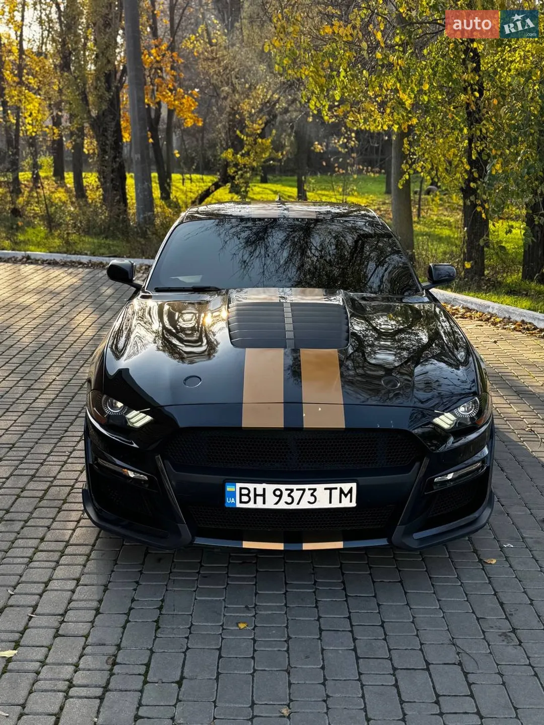 2020 Ford Mustang - мініатюра 2