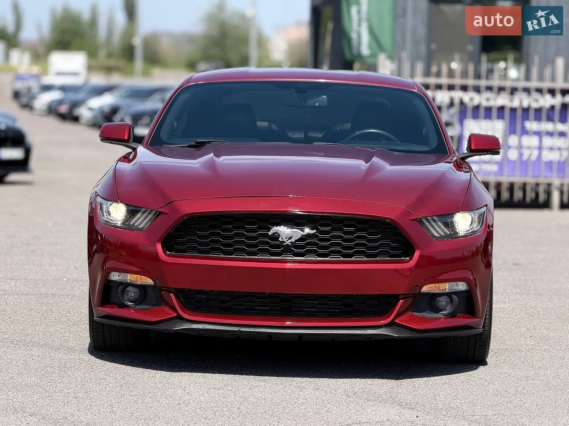 2016 Ford Mustang - мініатюра 10