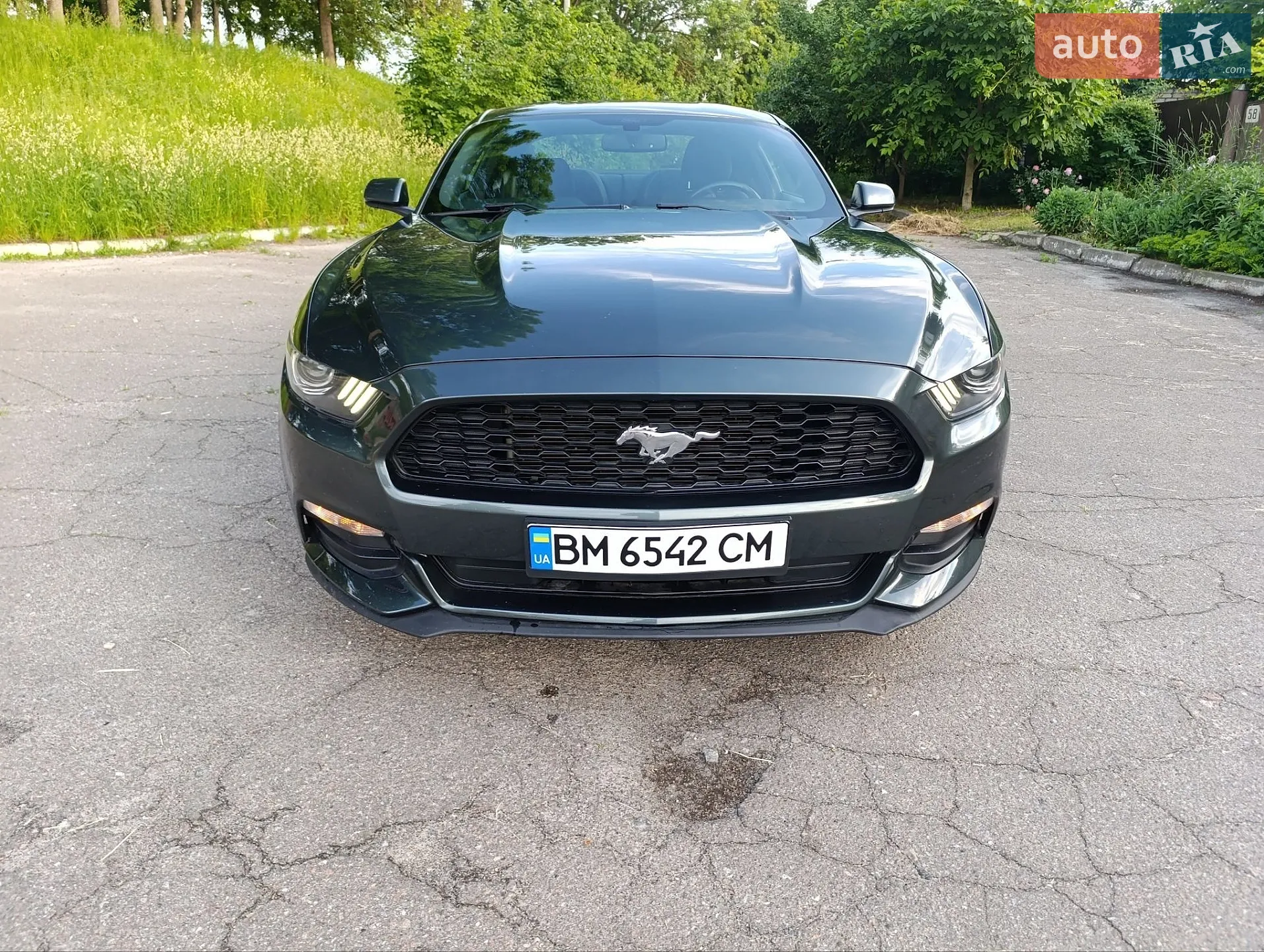 2015 Ford Mustang - мініатюра 7