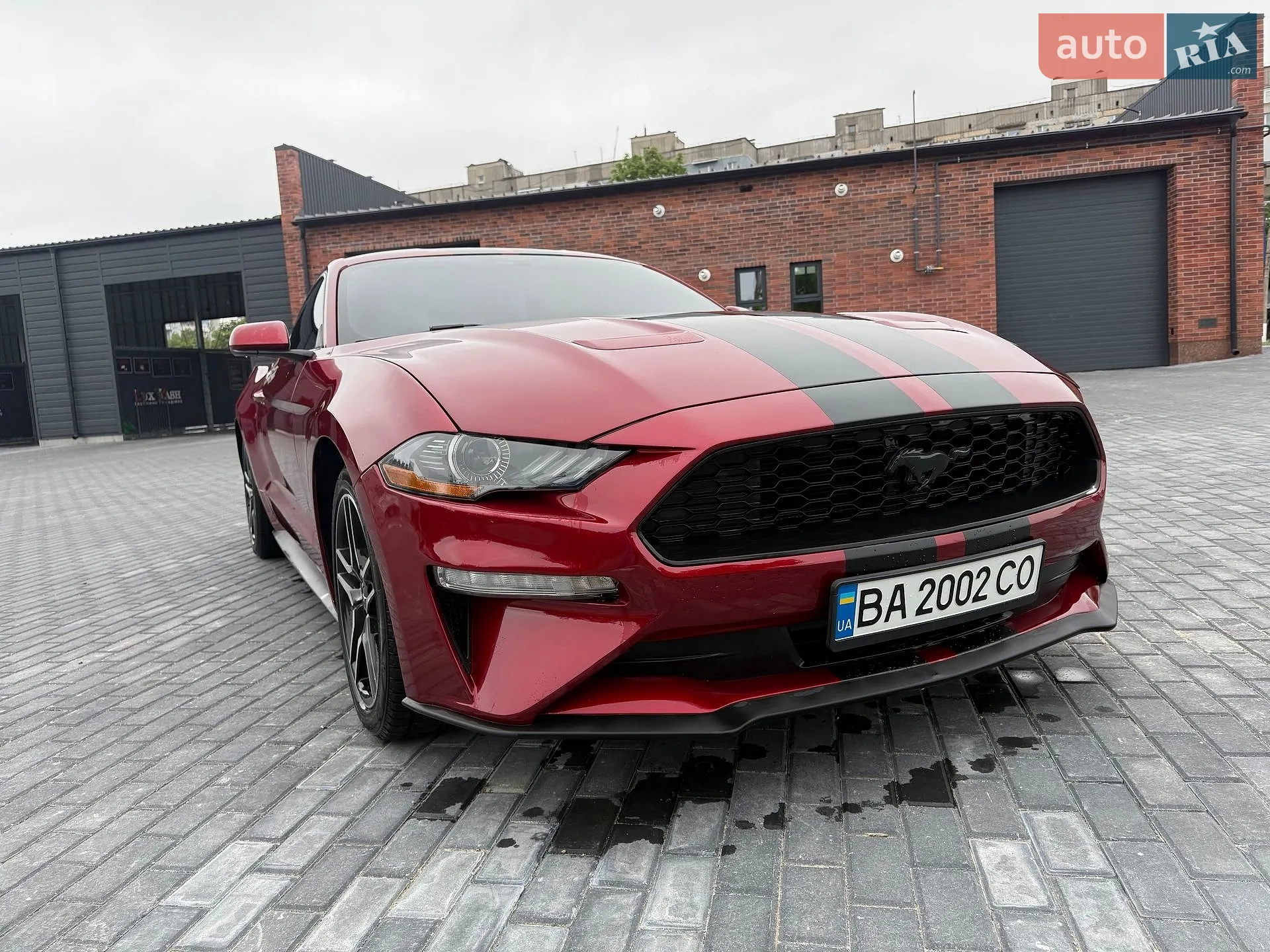 2019 Ford Mustang - мініатюра 6