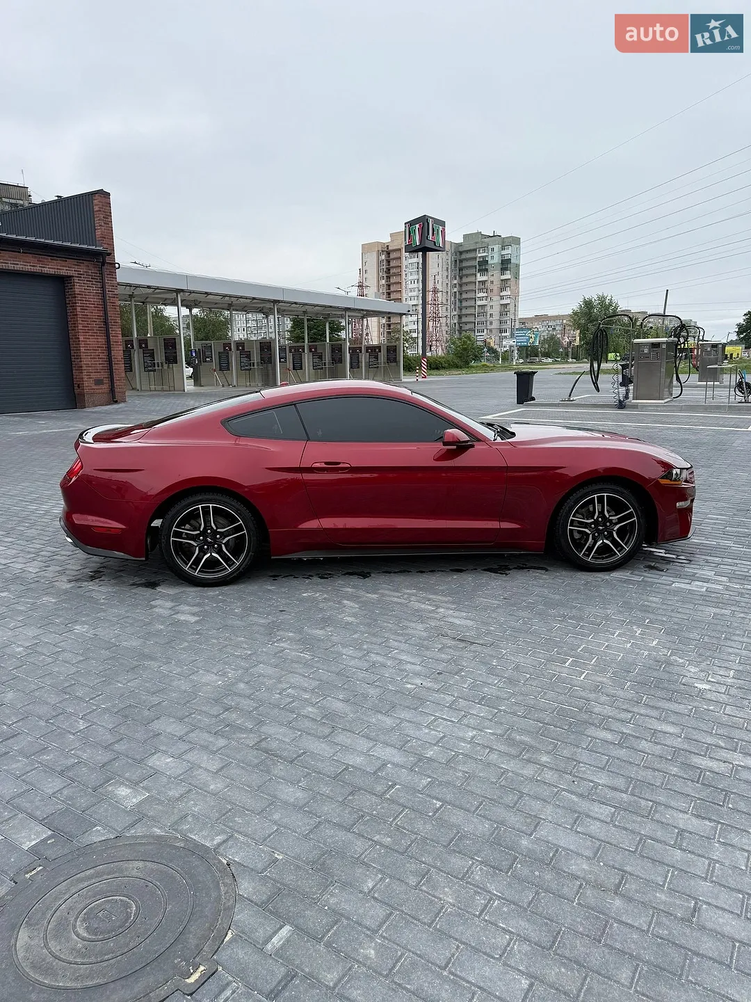 2019 Ford Mustang - мініатюра 3