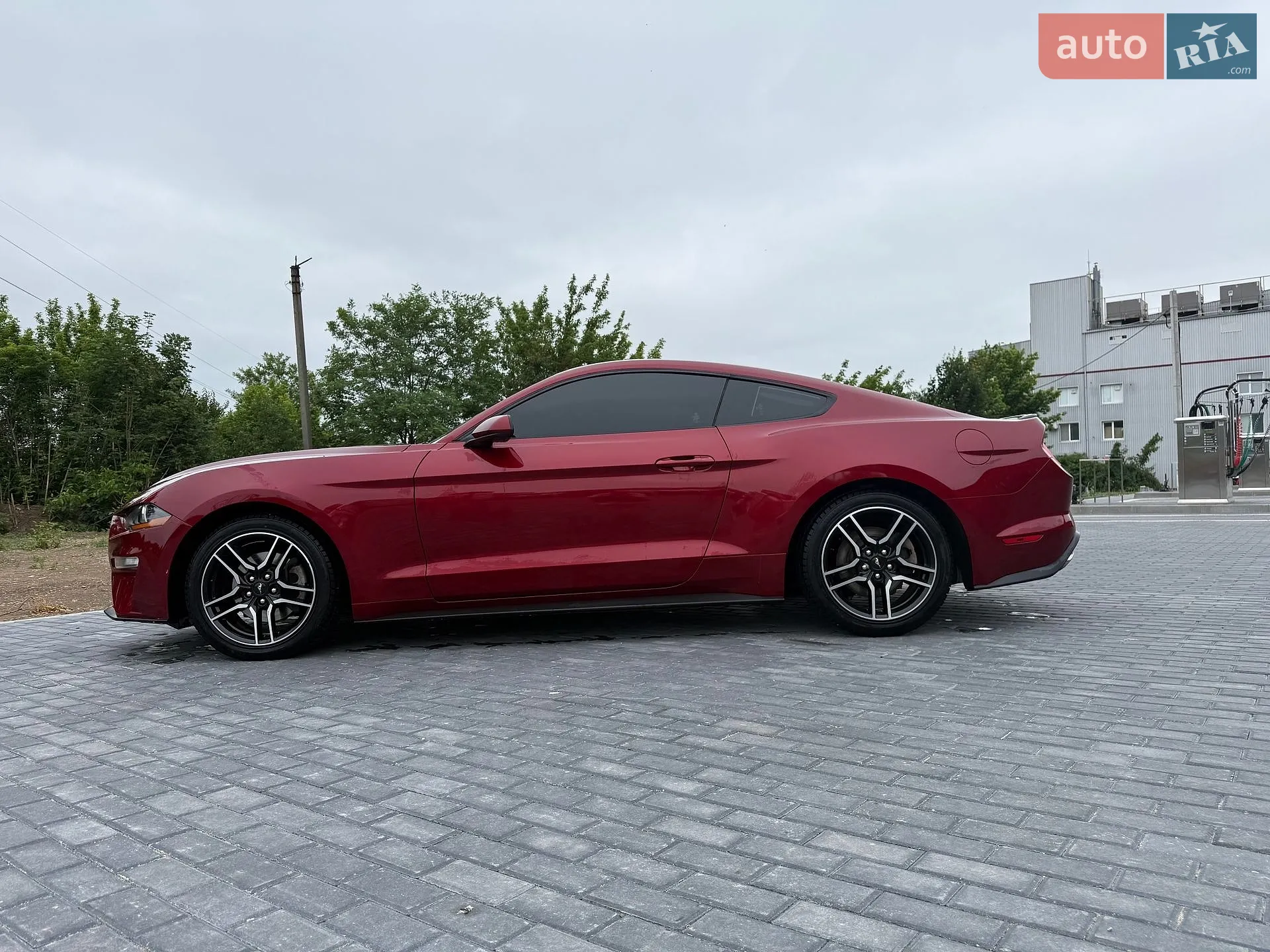 2019 Ford Mustang - мініатюра 8