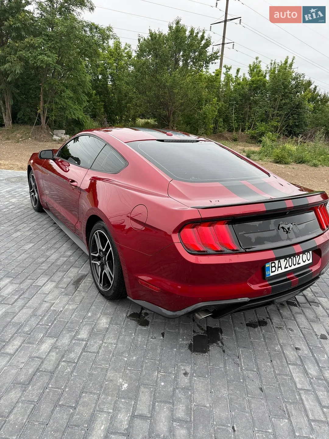 2019 Ford Mustang - мініатюра 7